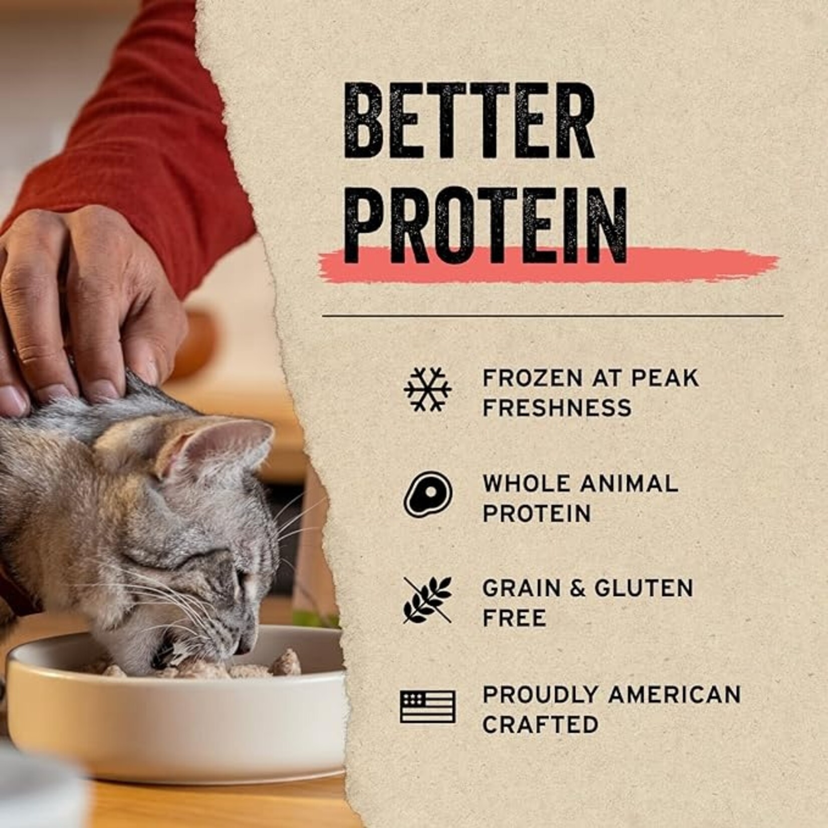 VITAL ESSENTIALS Vital Essentials Cat Freeze Dried Treat Minnow .5oz