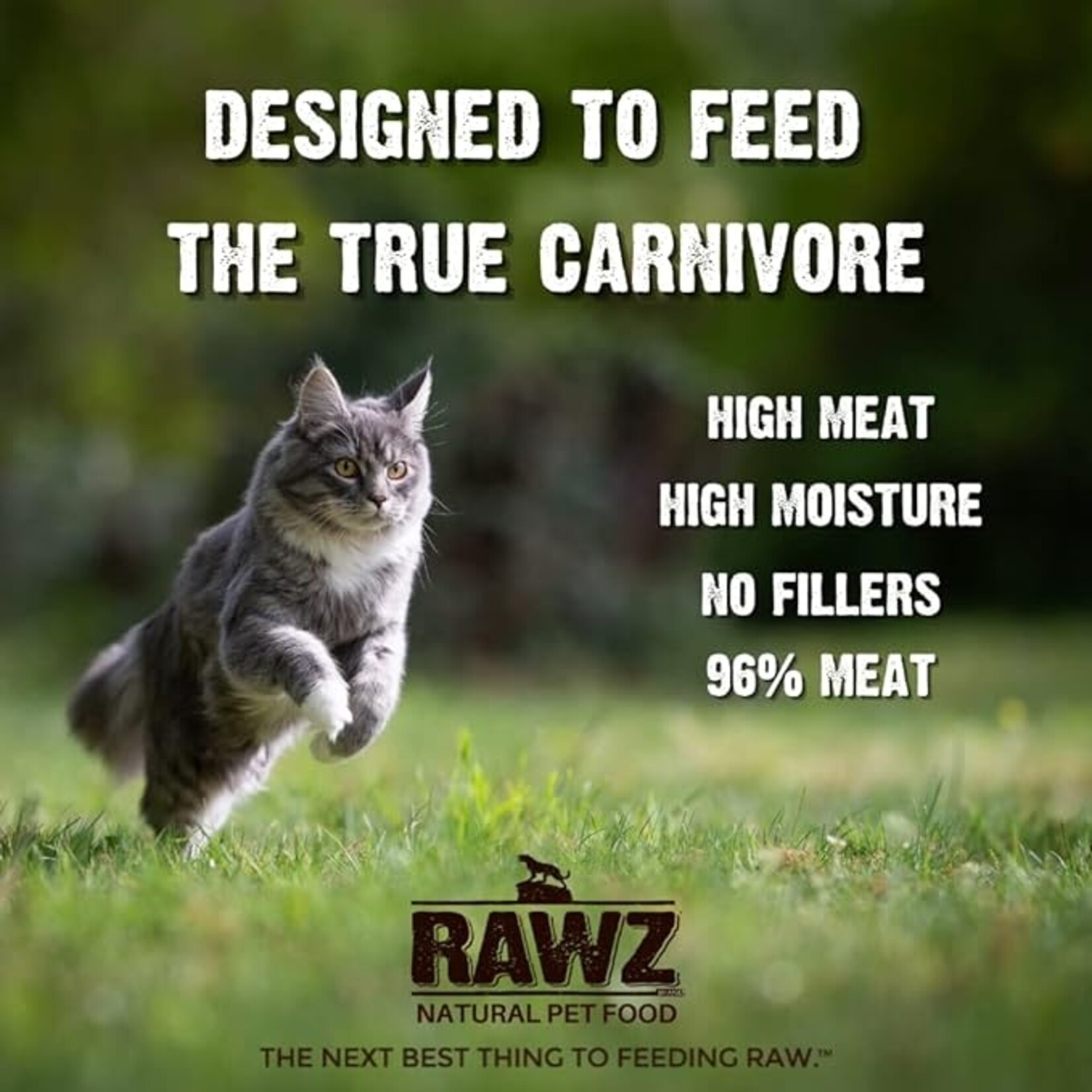 Rawz Rawz 96% Turkey & Salmon Pate 5.5oz (case 24)