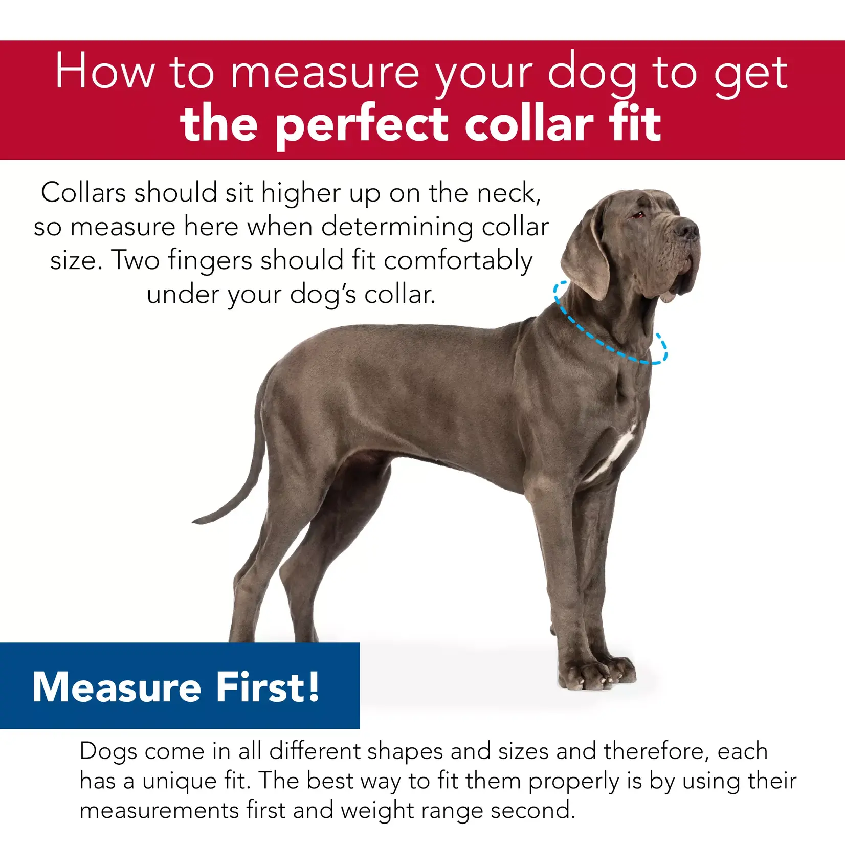 Coastal Coastal No Slip Red 5/8” 10”-14” Martingale Collar