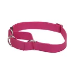 Coastal Coastal No Slip Pink 5/8” 10”-14” Martingale Collar