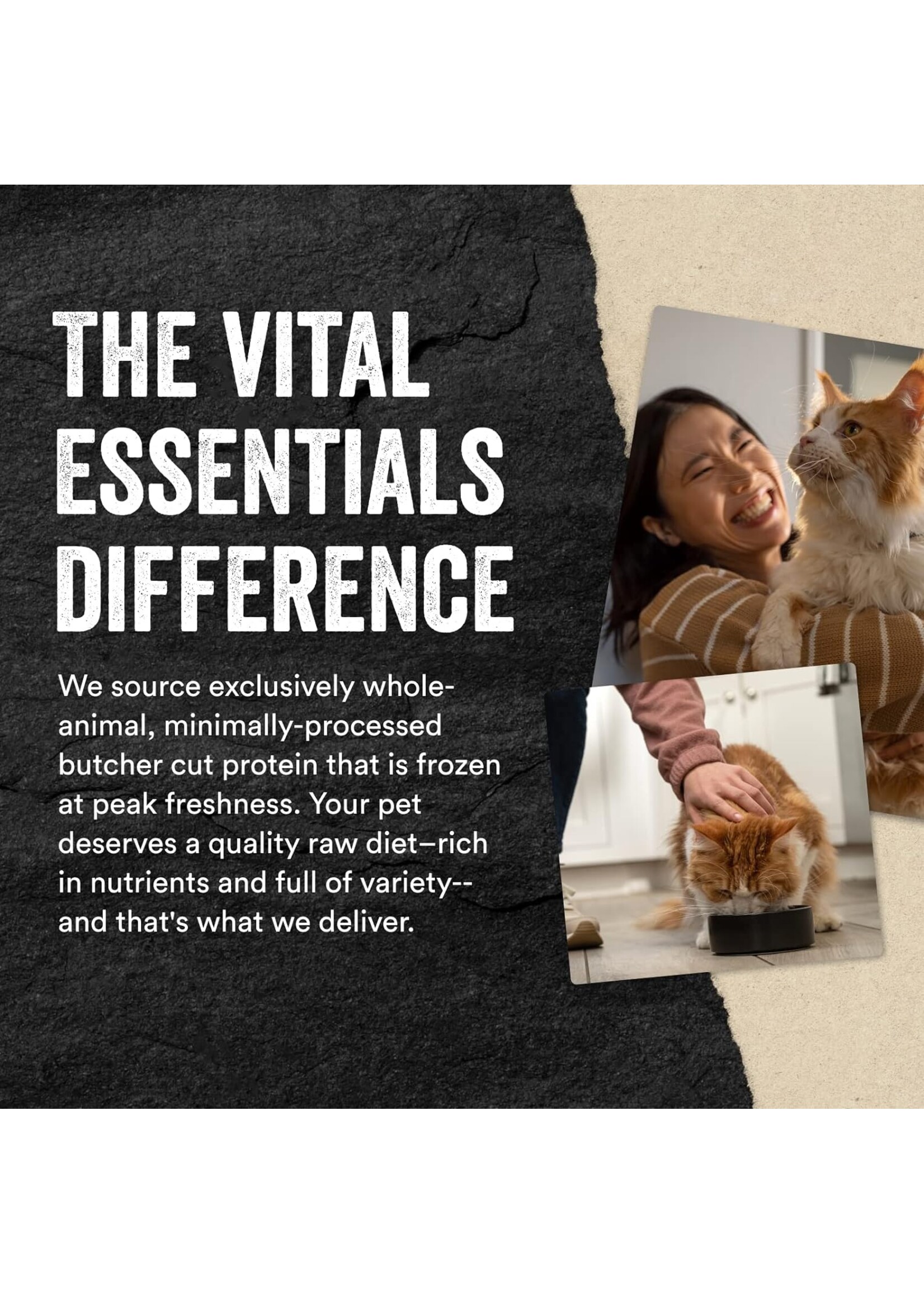 VITAL ESSENTIALS Vital Essentials Cat Freeze Dried Treat Bites Rabbit .9oz