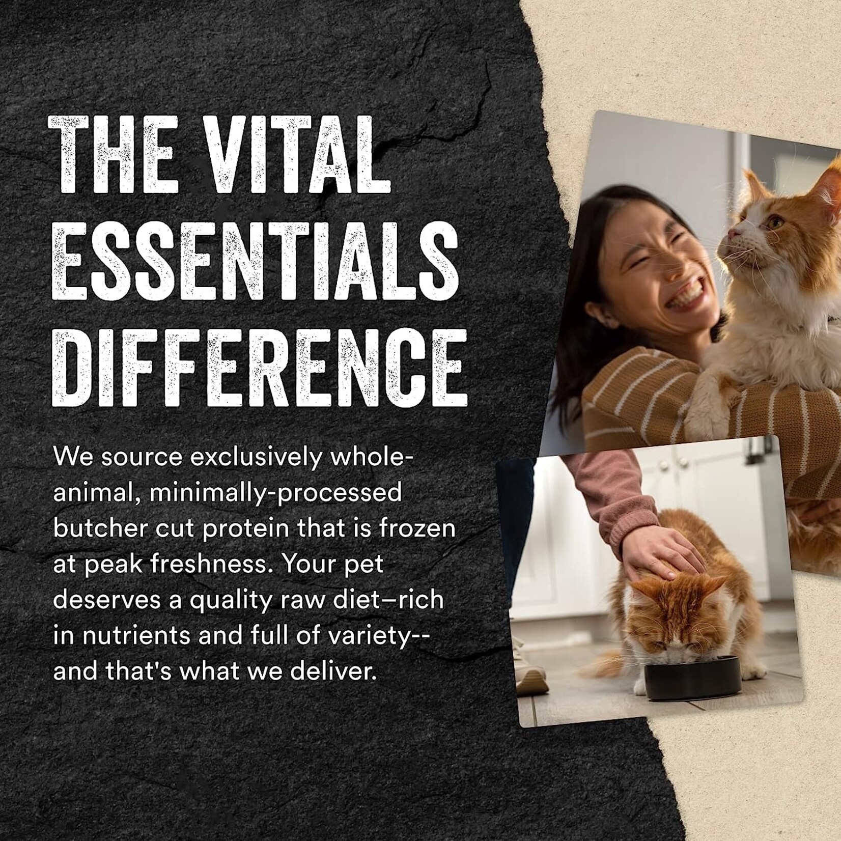 VITAL ESSENTIALS Vital Cat Salmon FD 1.1 oz