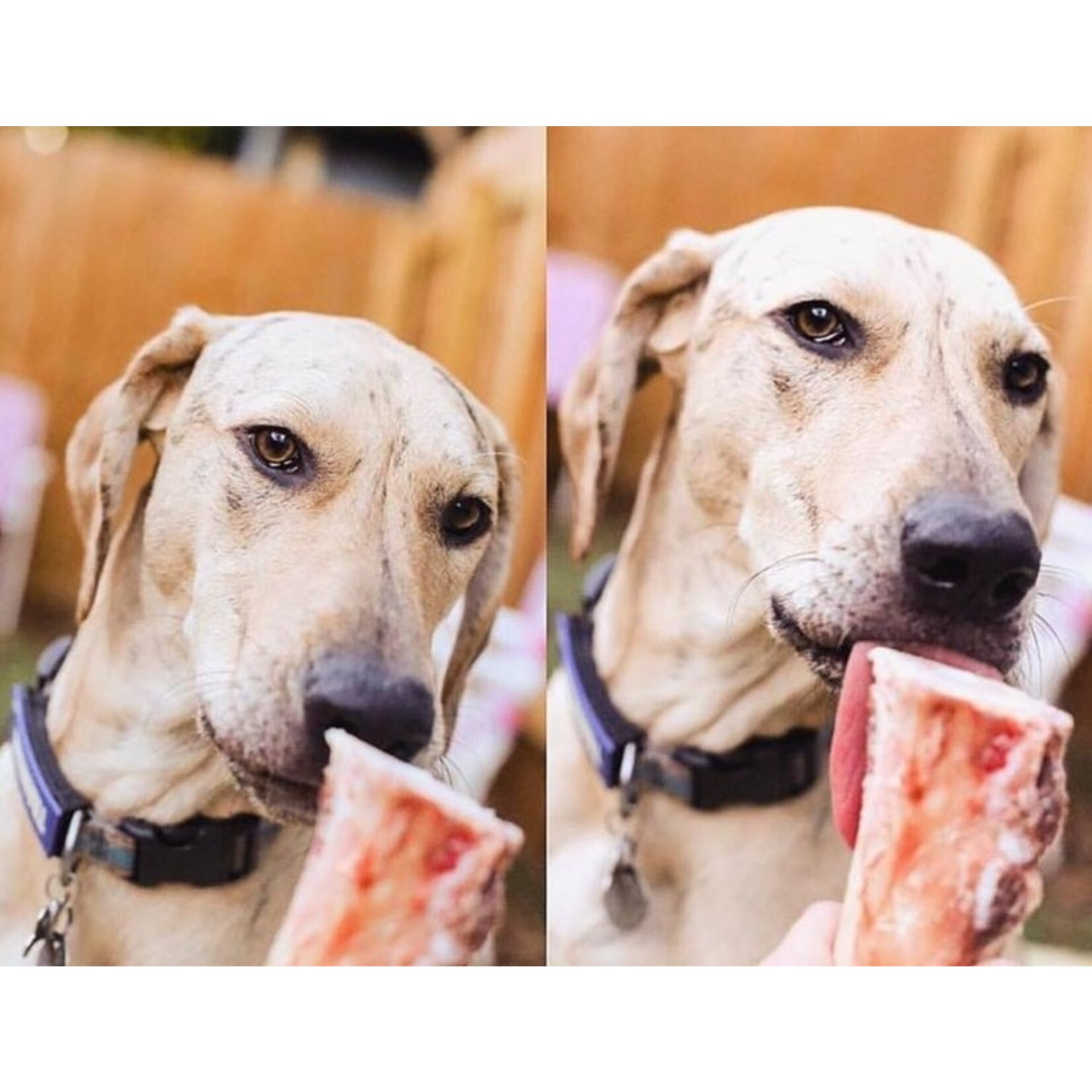 Bones and Co. Bones & Co 4" Raw Beef Marrow Bones