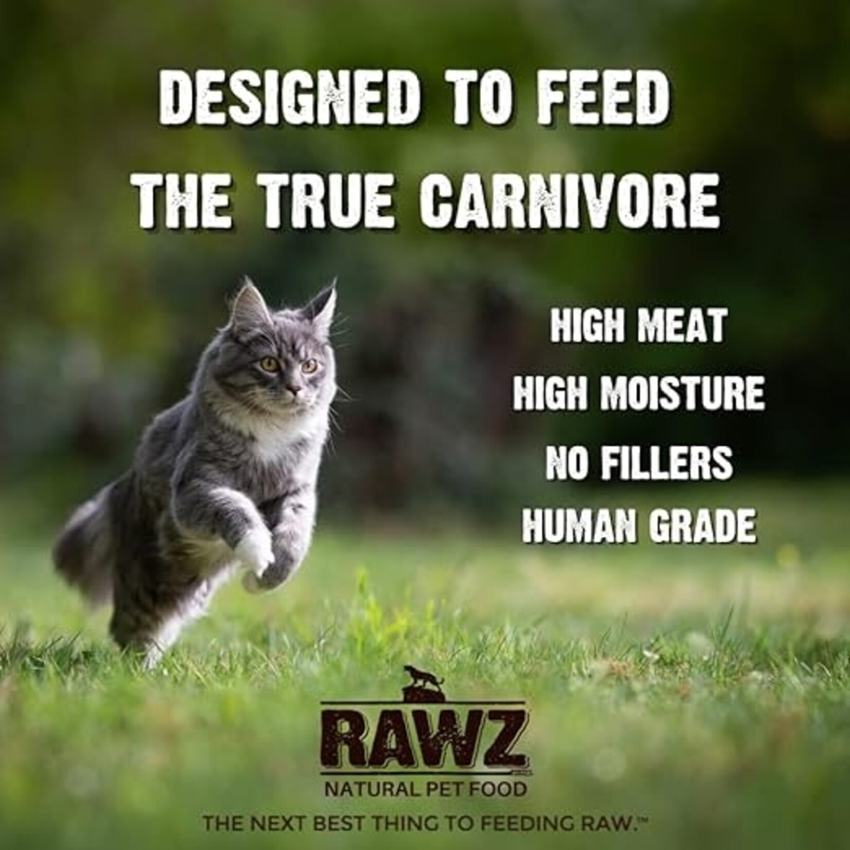Rawz Rawz Cat Shredded Tuna & Salmon 5.5oz (case 24)