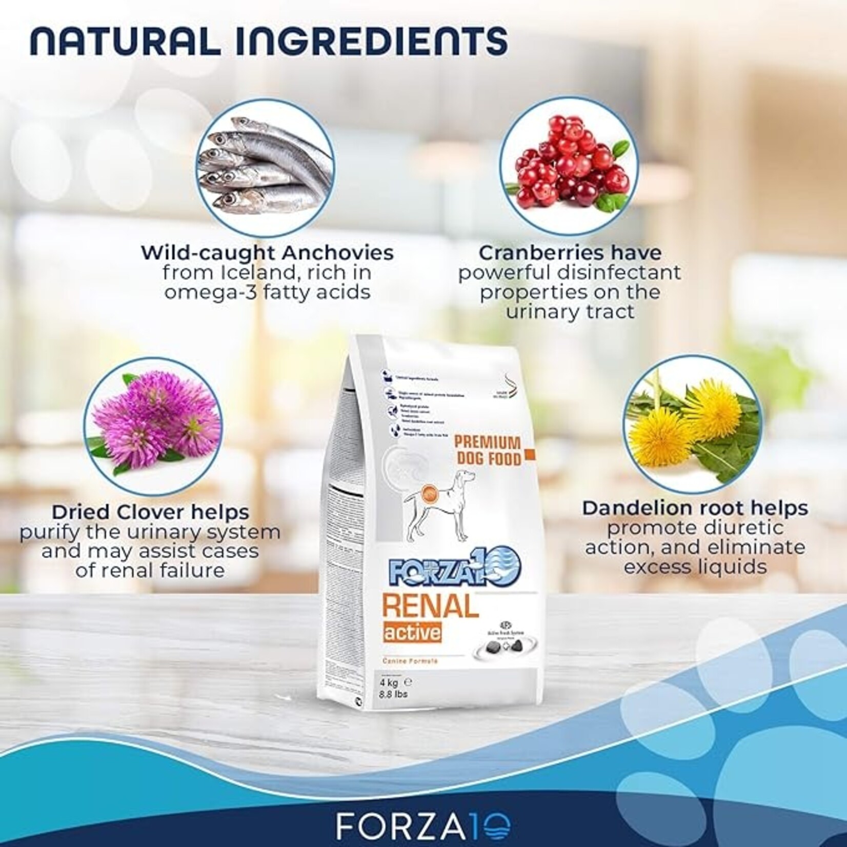 Forza10 Forza10 Active Dog Kibble Kidney Renal 8.8lbs