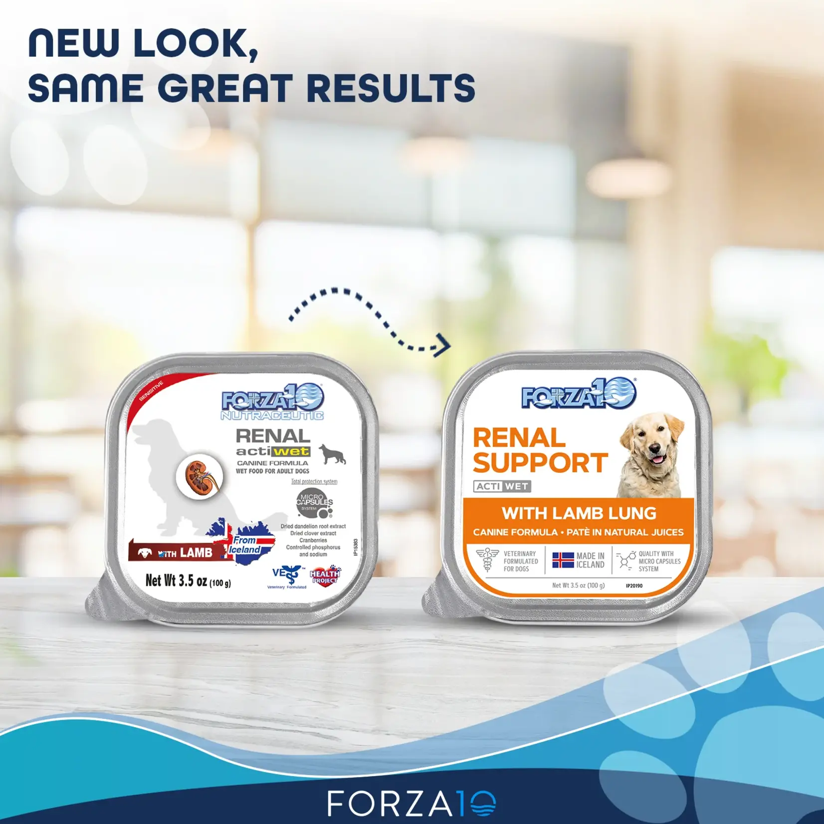 Forza10 Forza10 Active Dog Can Renal Lamb 3.5oz