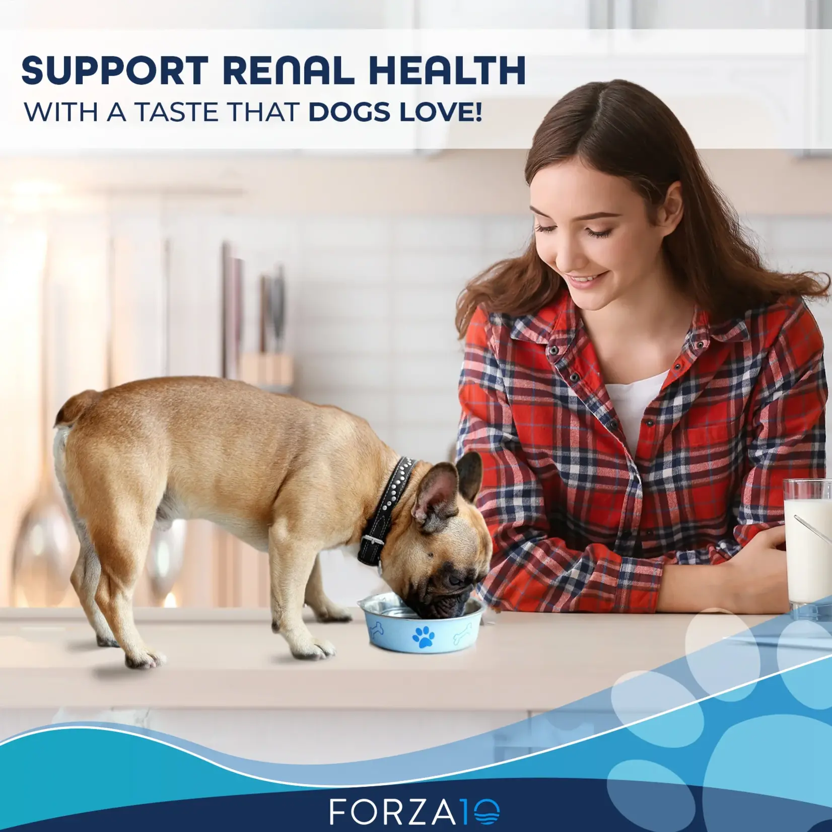 Forza10 Forza10 Active Dog Can Renal Lamb 3.5oz