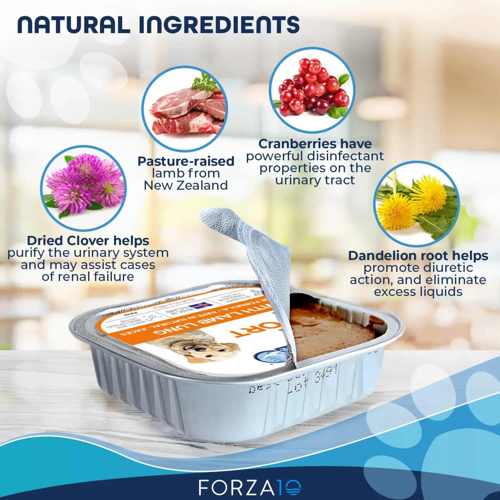 Forza10 Forza10 Active Dog Can Renal Lamb 3.5oz