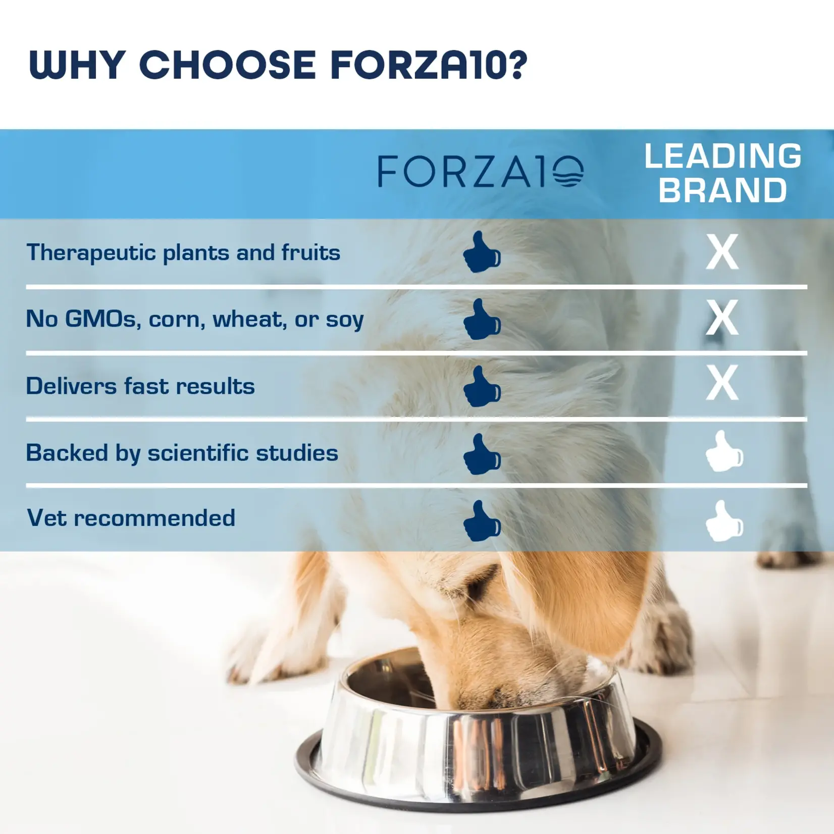 Forza10 Forza10 Active Dog Can Renal Lamb 3.5oz