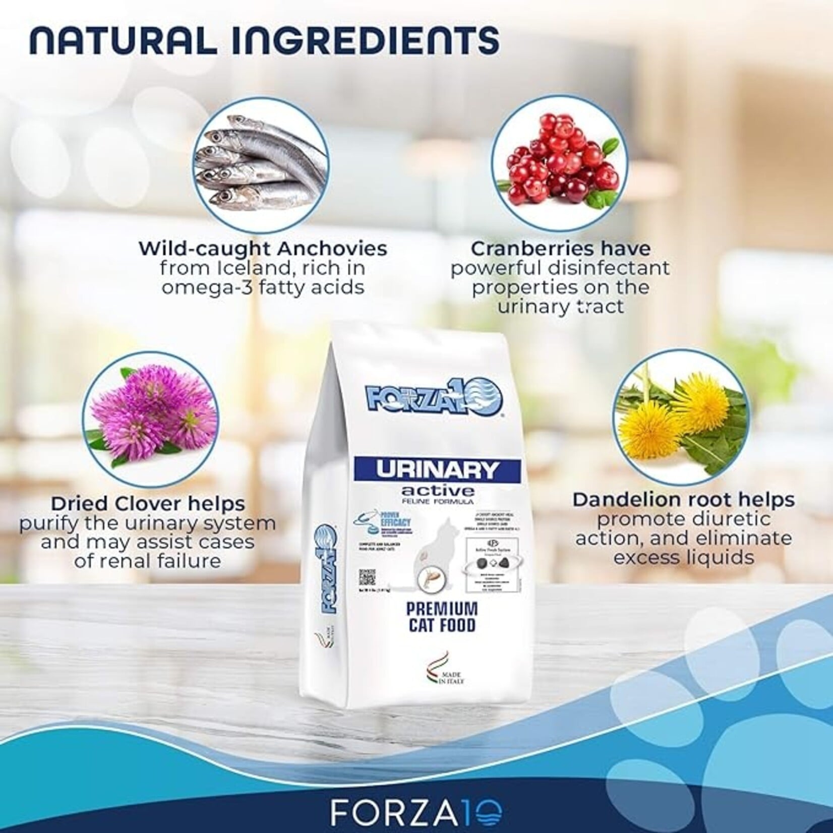 Forza10 Forza10 Active Cat Kibble Urinary 4lbs