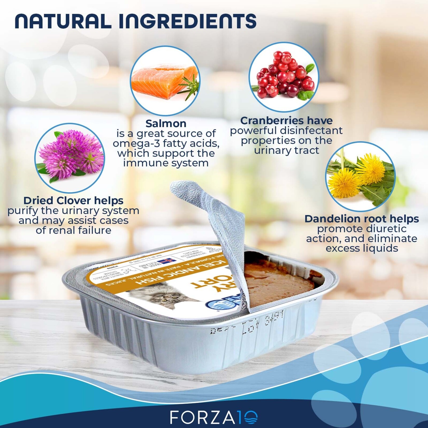 Forza10 Forza10 Active Cat Can Urinary Fish 3.5oz (case 32)