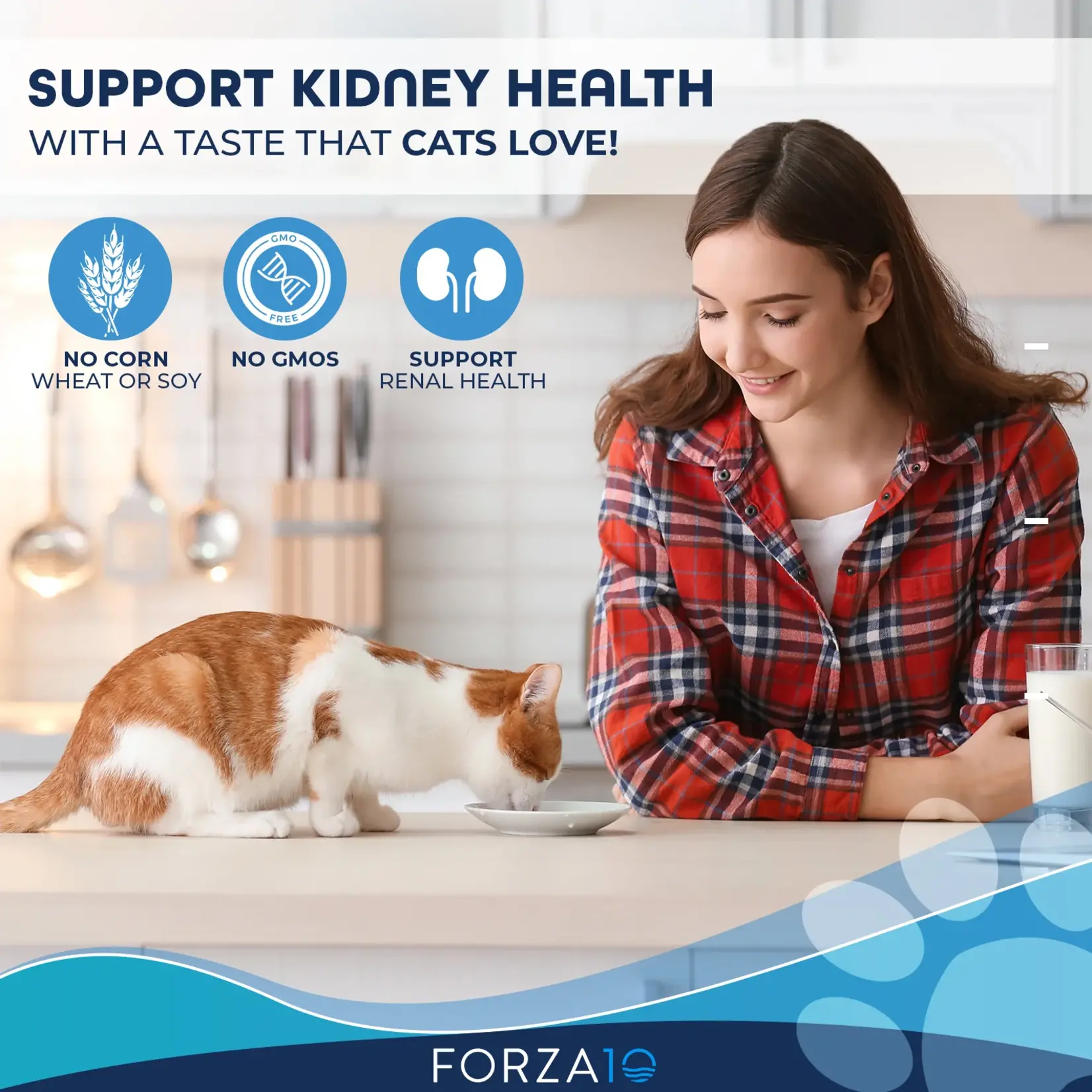 Forza10 Forza10 Active Cat Can Renal Lamb 3.5oz (case 32)