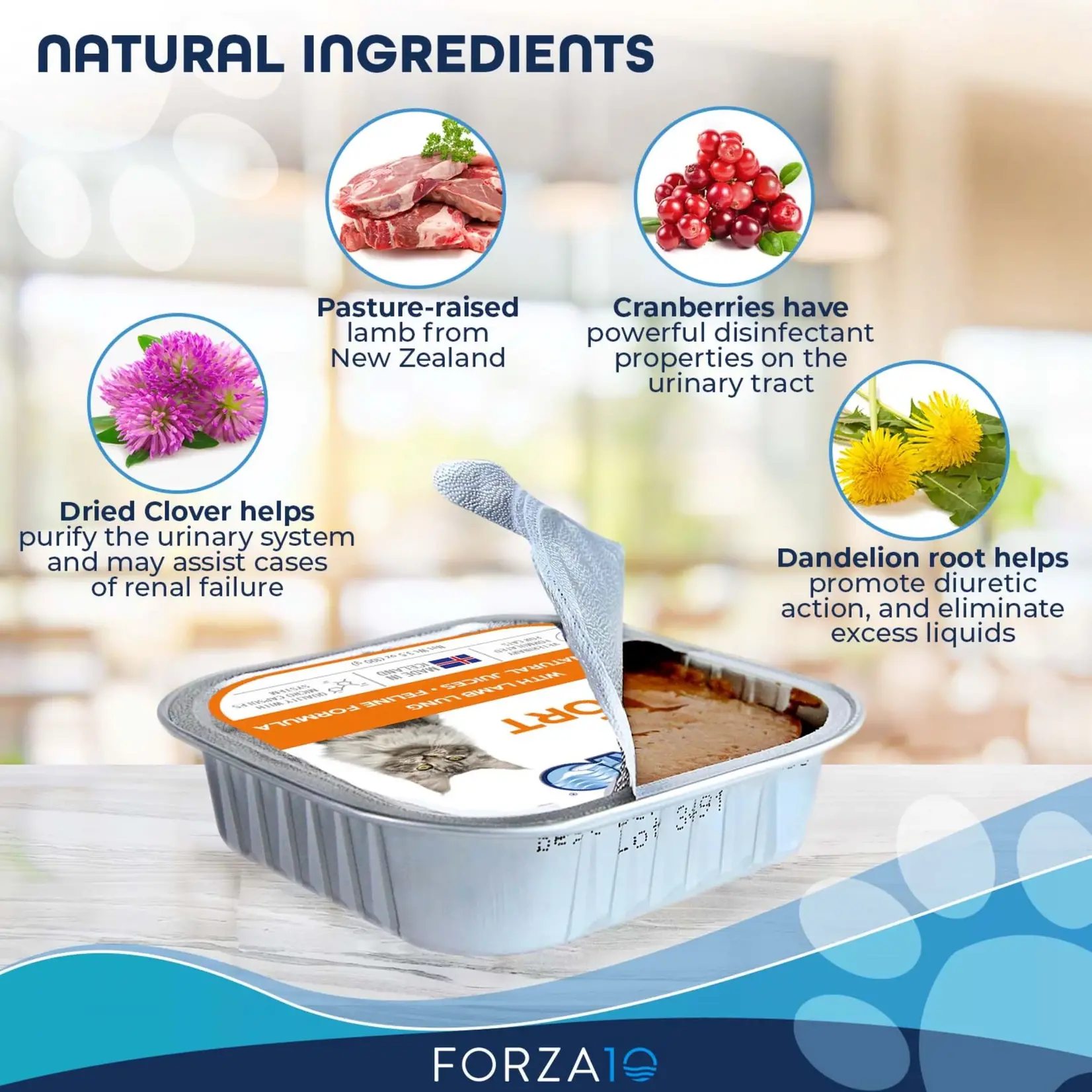 Forza10 Forza10 Active Cat Can Renal Lamb 3.5oz (case 32)