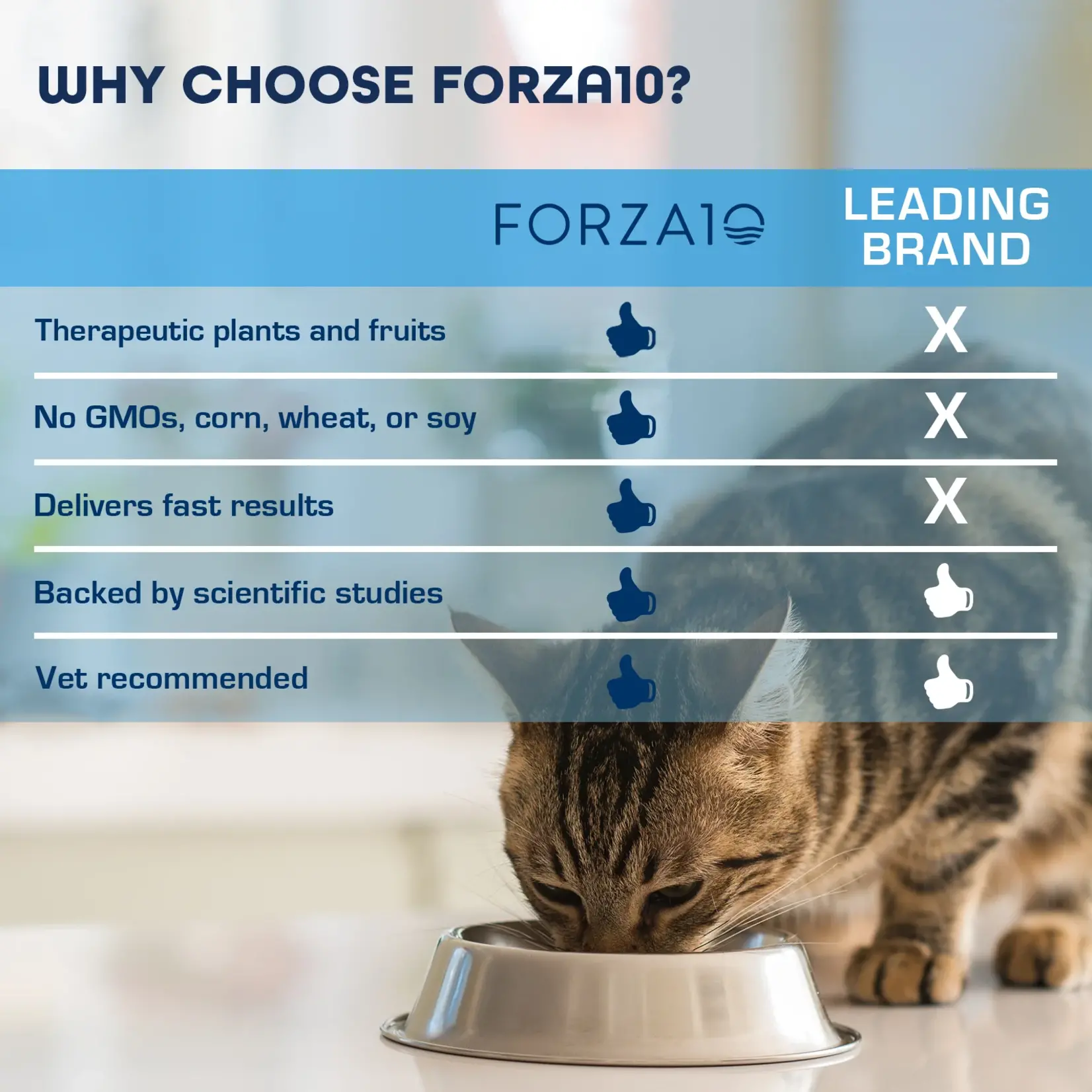 Forza10 Forza10 Active Cat Can Digestive Fish 3.5oz (case 32)