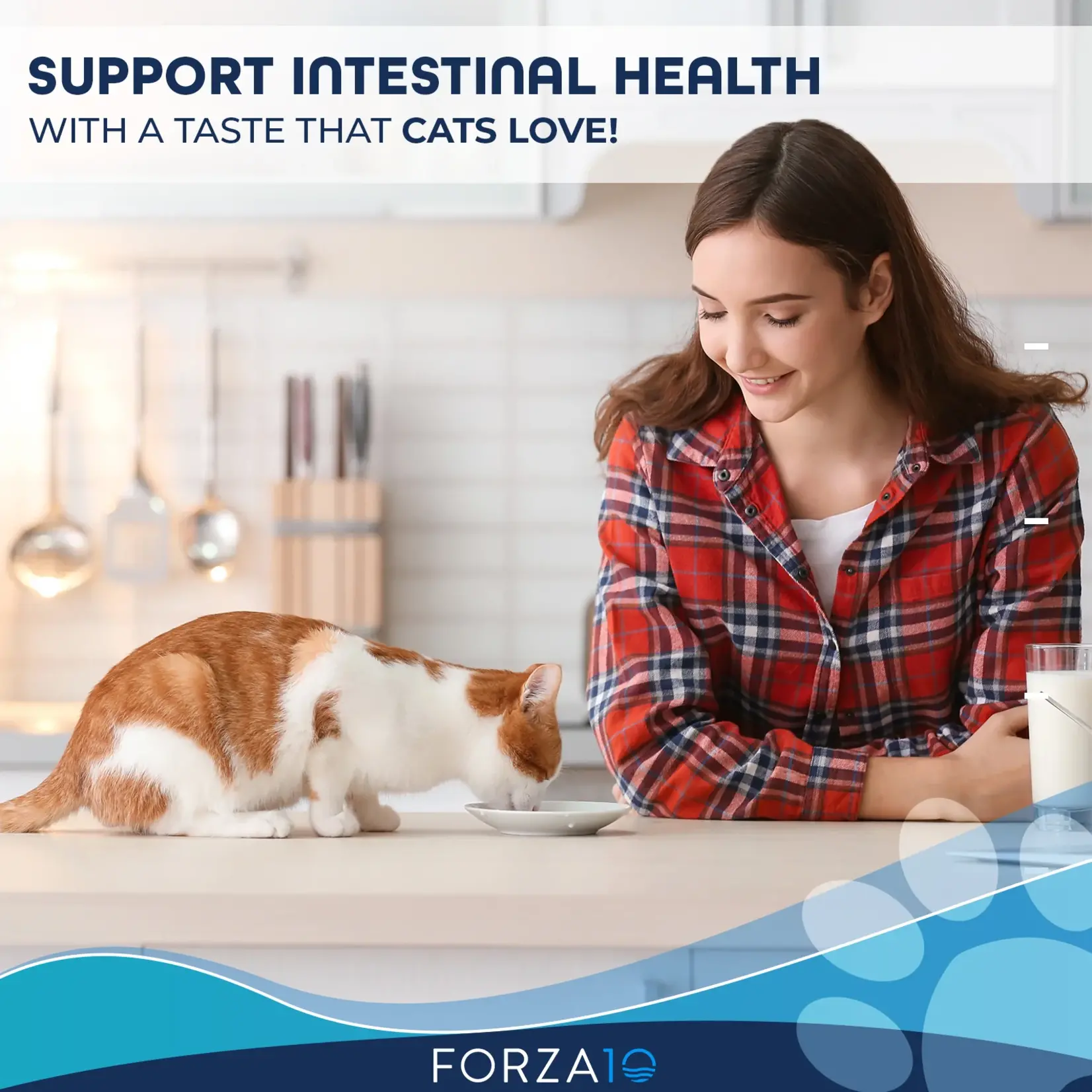Forza10 Forza10 Active Cat Can Digestive Fish 3.5oz (case 32)