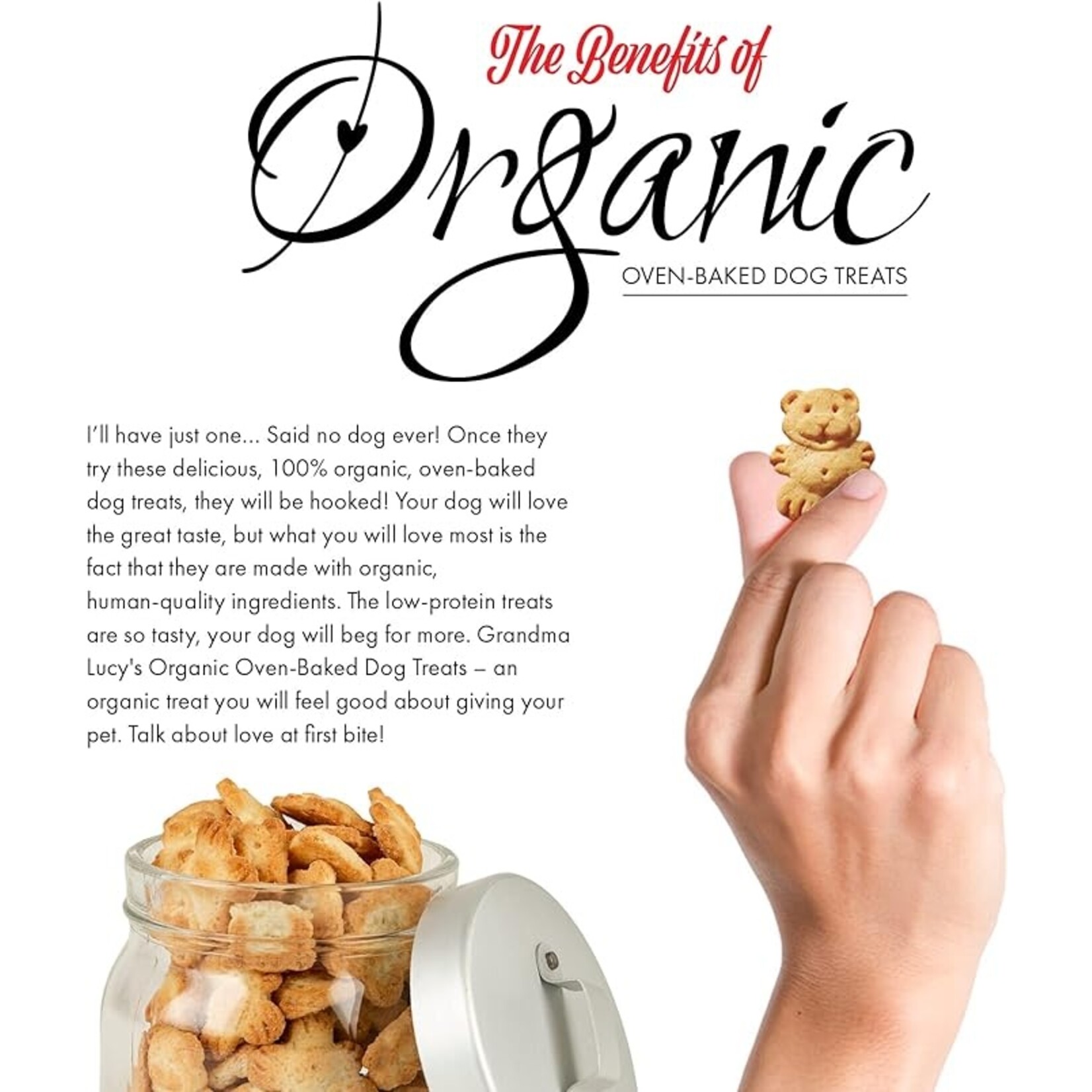 Grandma Lucys Grandma Lucy's Organic Baked Treats Apple 14oz