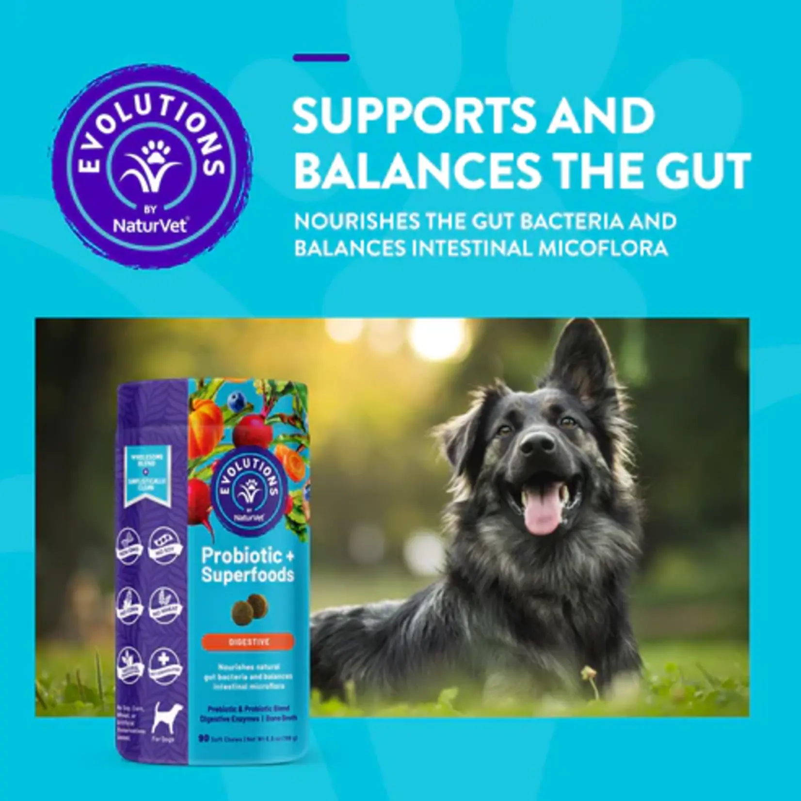 NaturVet NaturVet Evolutions Superblend Probiotics 90ct