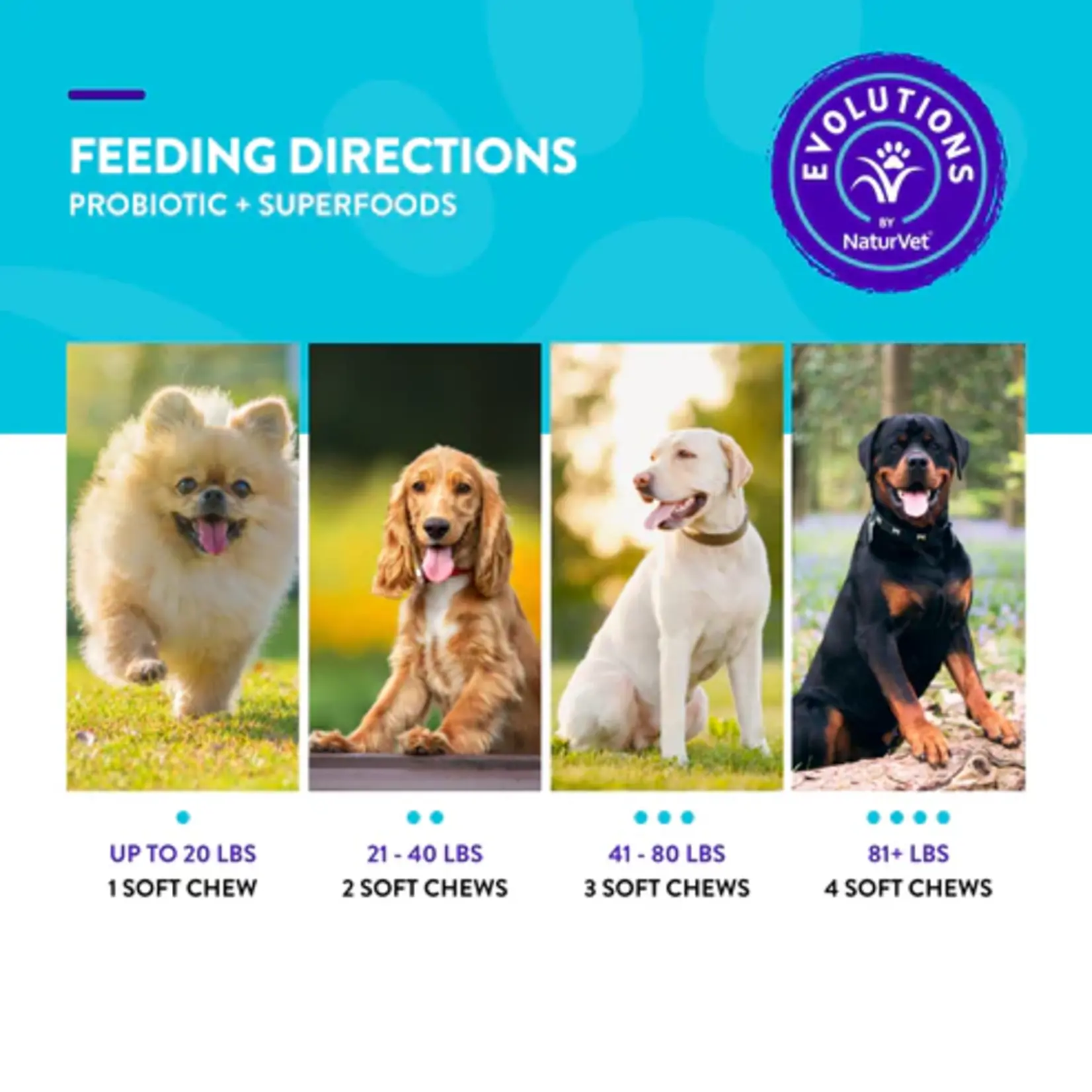 NaturVet NaturVet Evolutions Superblend Probiotics 90ct