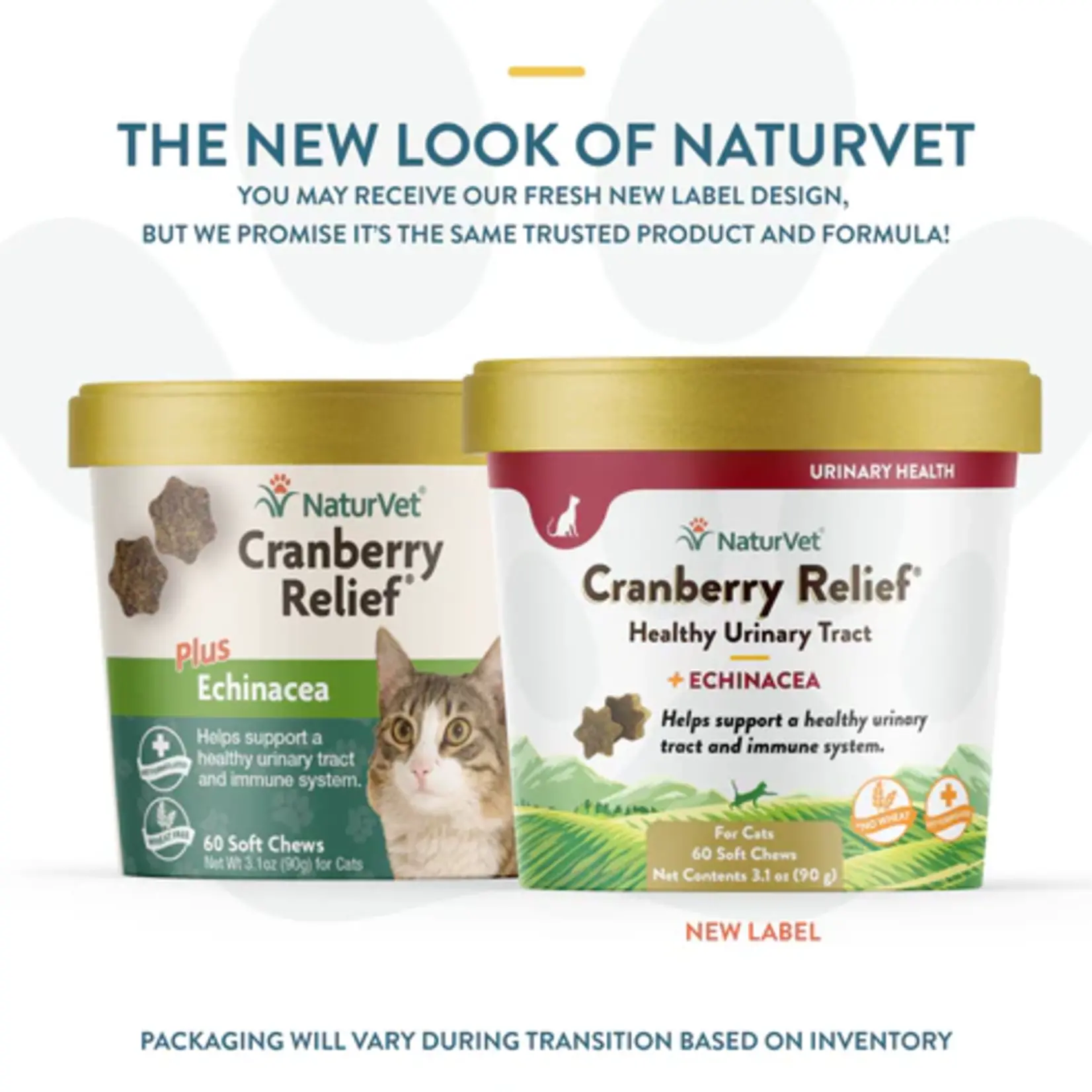 NaturVet NaturVet Cat Soft Chew Cranberry Relief 60ct