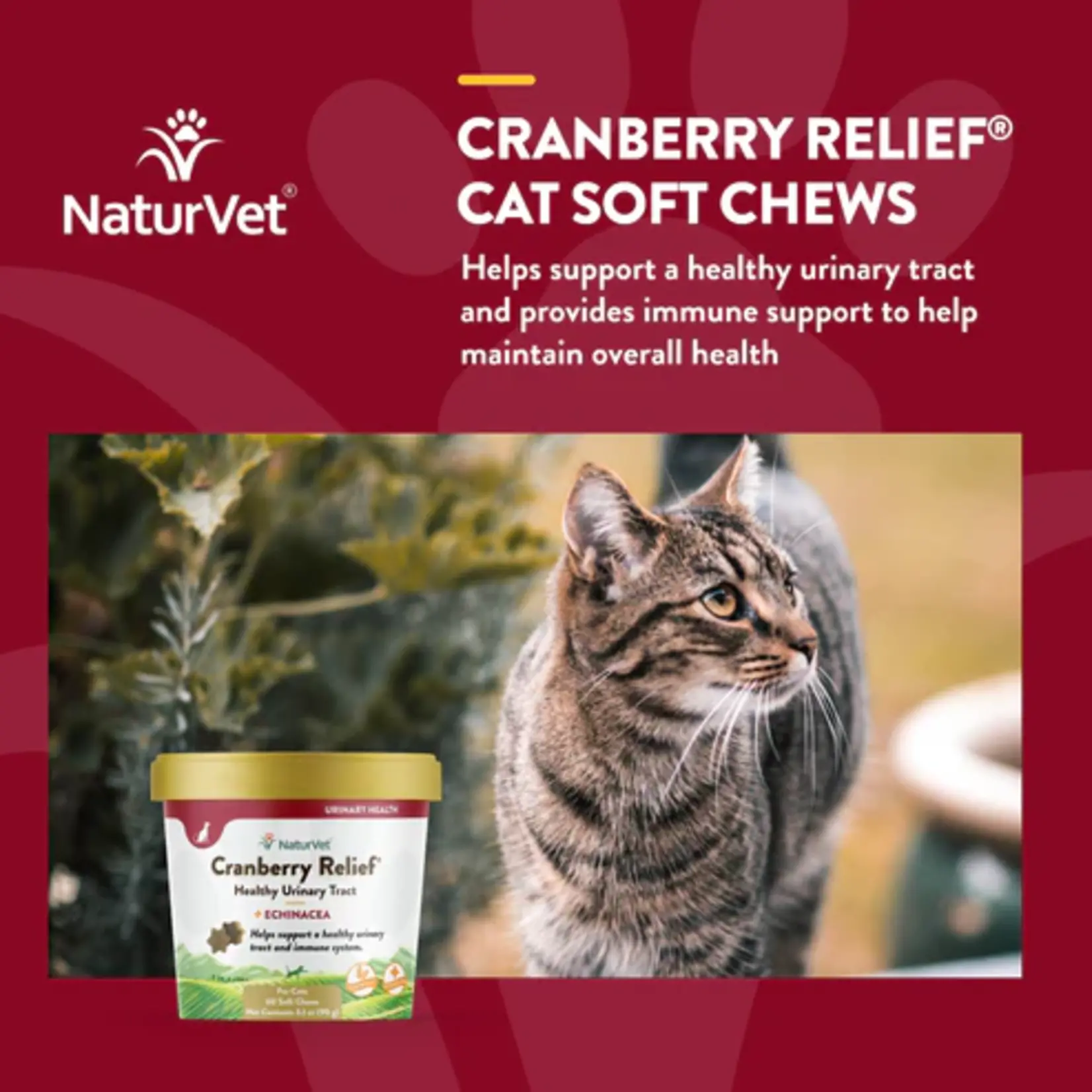 NaturVet NaturVet Cat Soft Chew Cranberry Relief 60ct