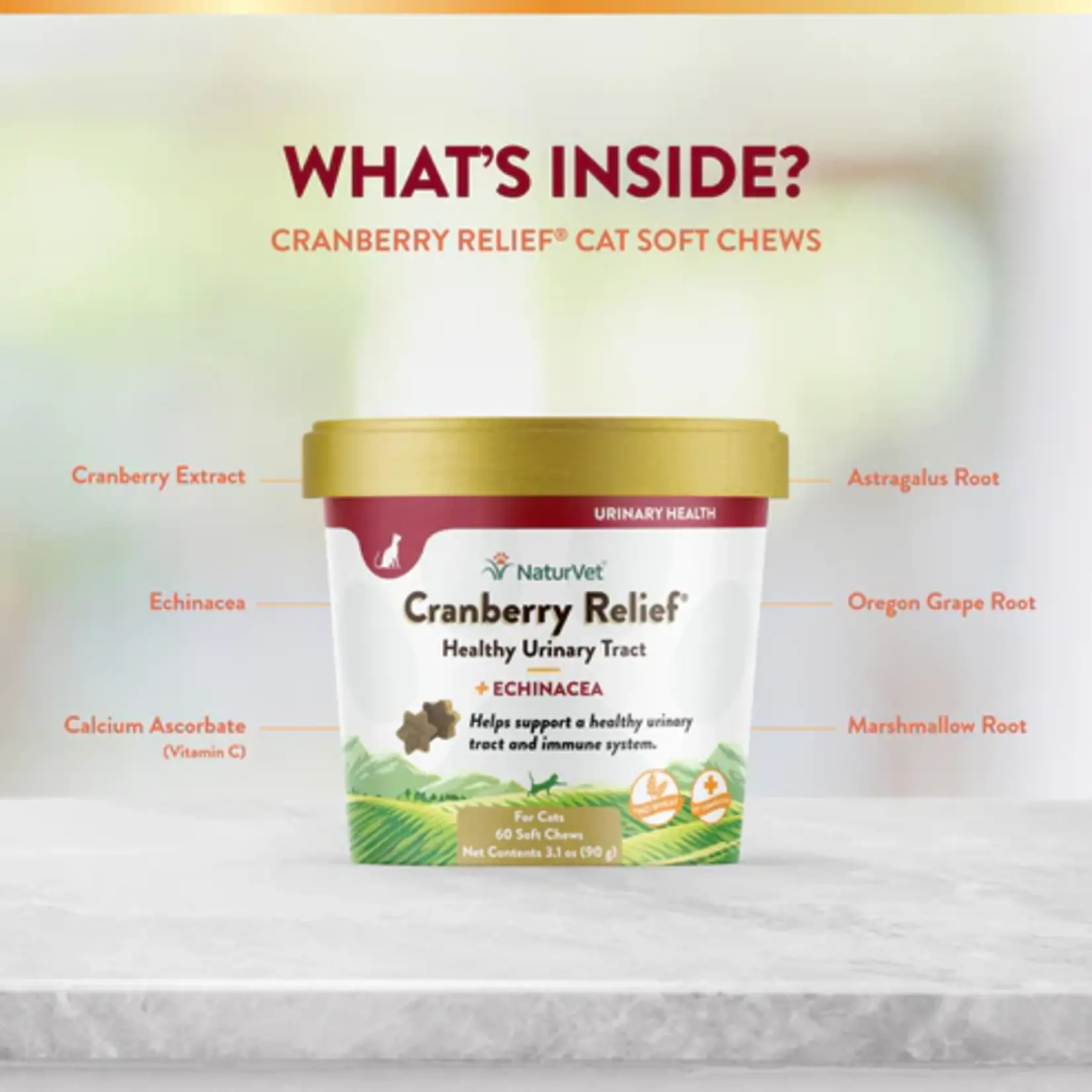 NaturVet NaturVet Cat Soft Chew Cranberry Relief 60ct