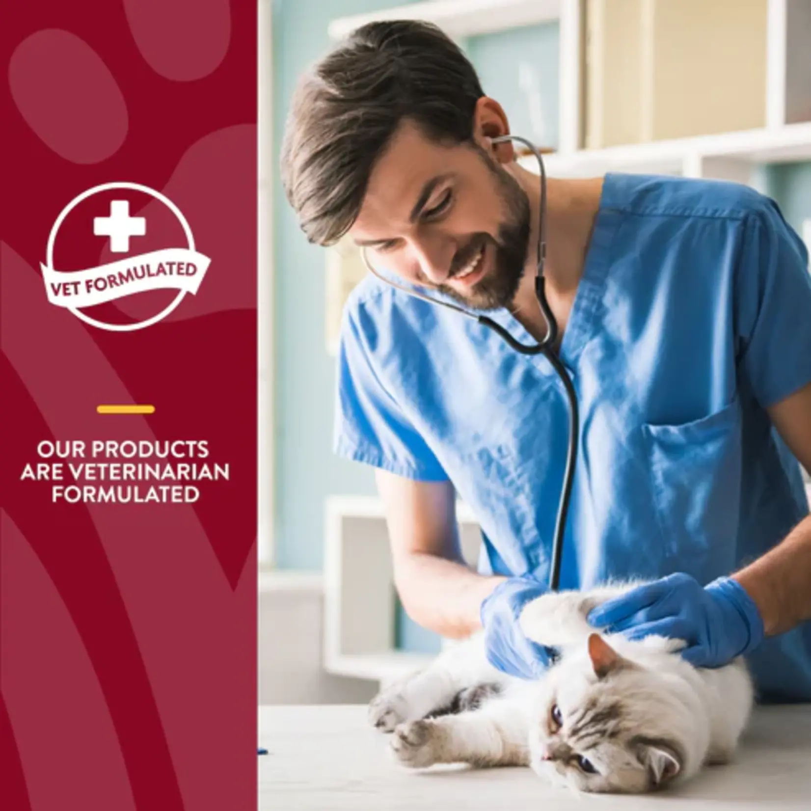 NaturVet NaturVet Cat Soft Chew Cranberry Relief 60ct