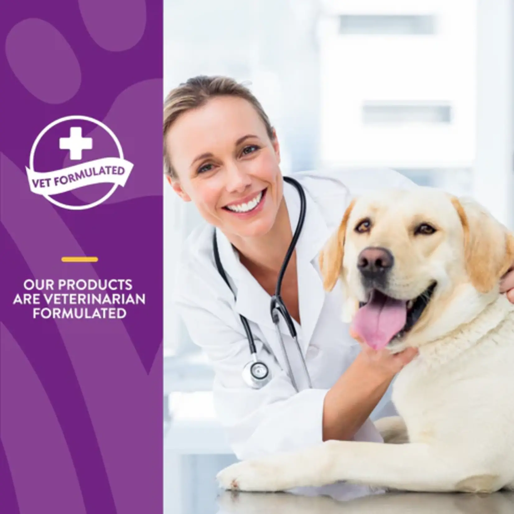 NaturVet NaturVet VitaPet Senior Glucosamine Daily Vitamin Tablets 60ct