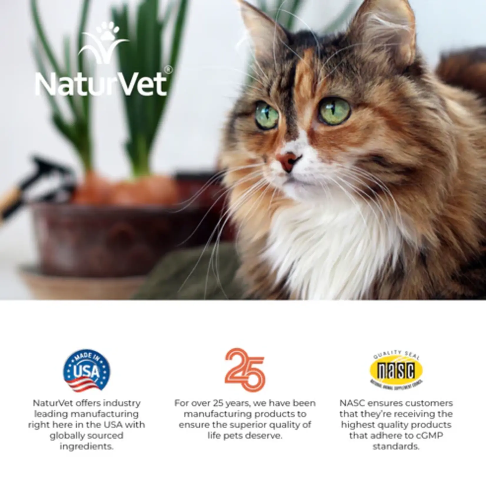 NaturVet Naturvet Cat Vita Senior Chew Cup 60 Ct