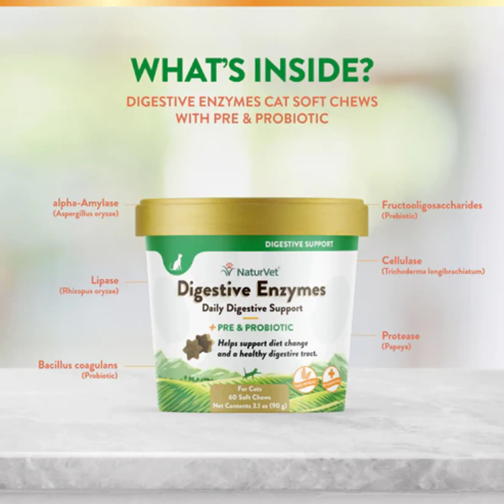 NaturVet NaturVet Cat Soft Chews Digestive Enzymes 60ct Plus Probiotic