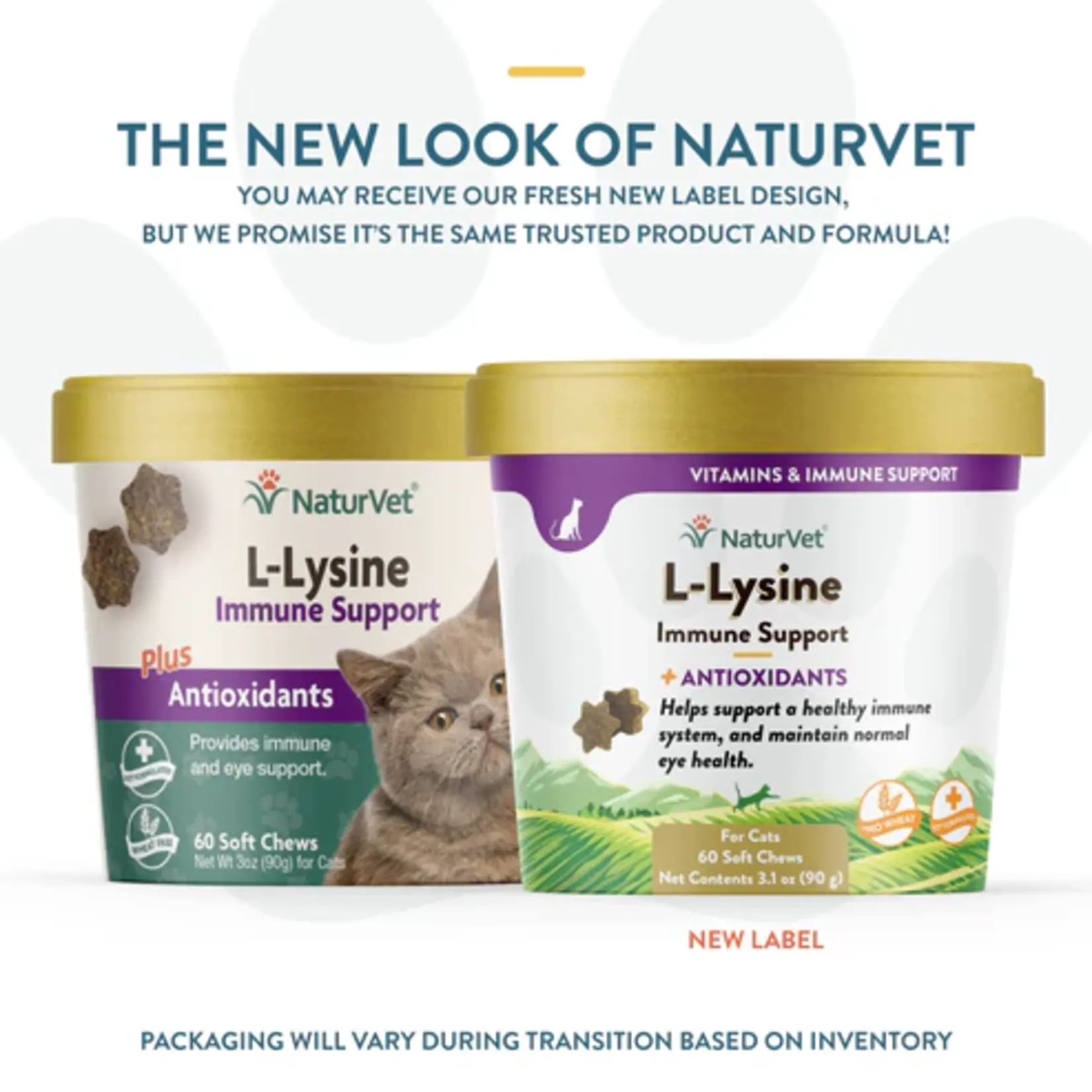 NaturVet NaturVet Soft Chews Cat L-Lysine Immune Support 60ct Plus Antioxidants