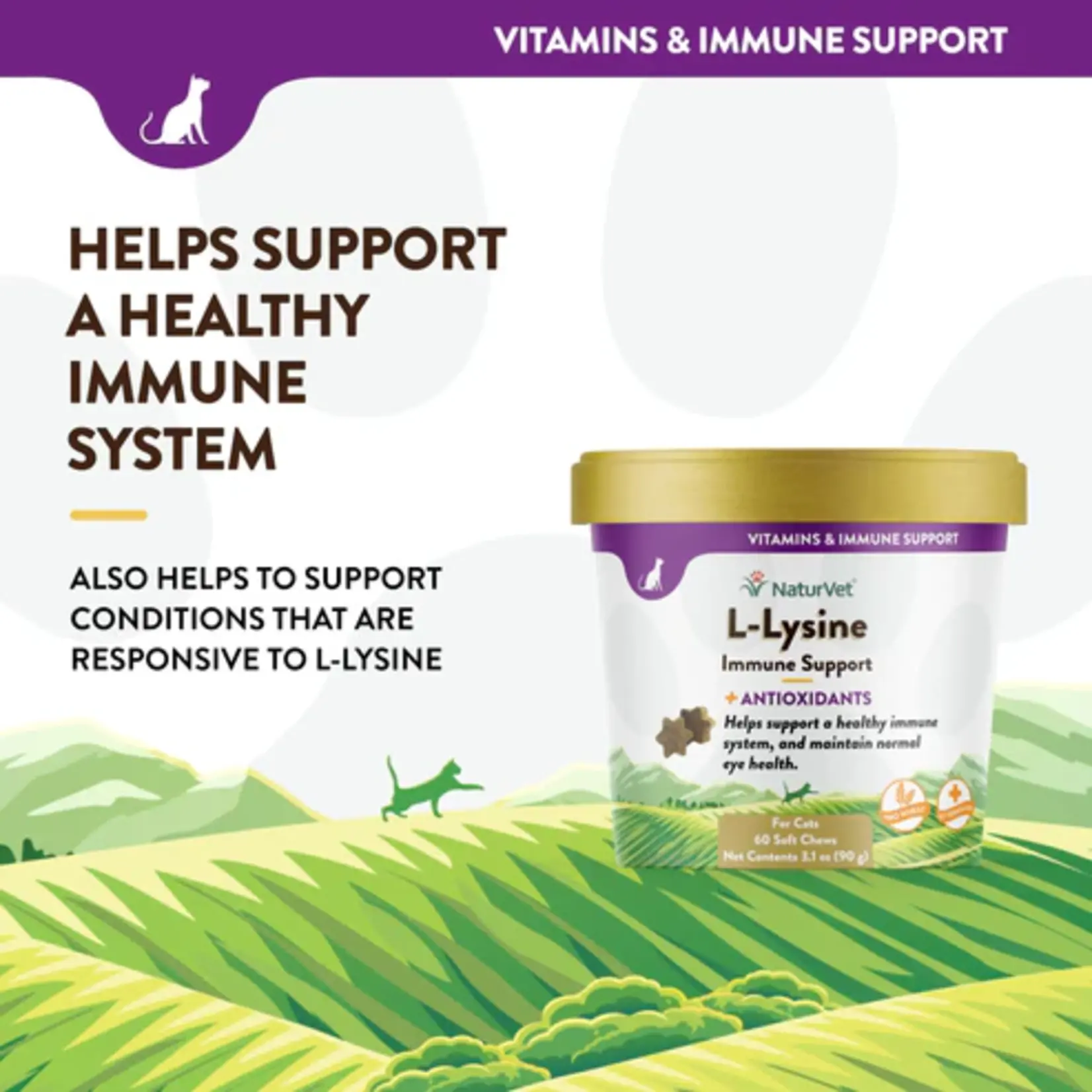 NaturVet NaturVet Soft Chews Cat L-Lysine Immune Support 60ct Plus Antioxidants