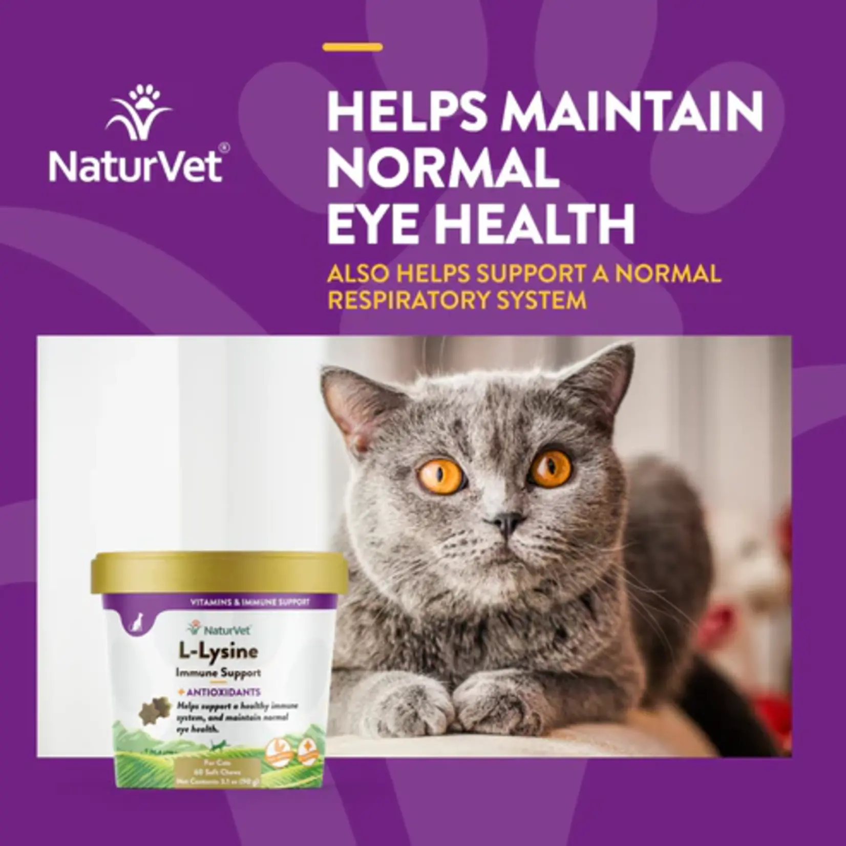 NaturVet NaturVet Soft Chews Cat L-Lysine Immune Support 60ct Plus Antioxidants
