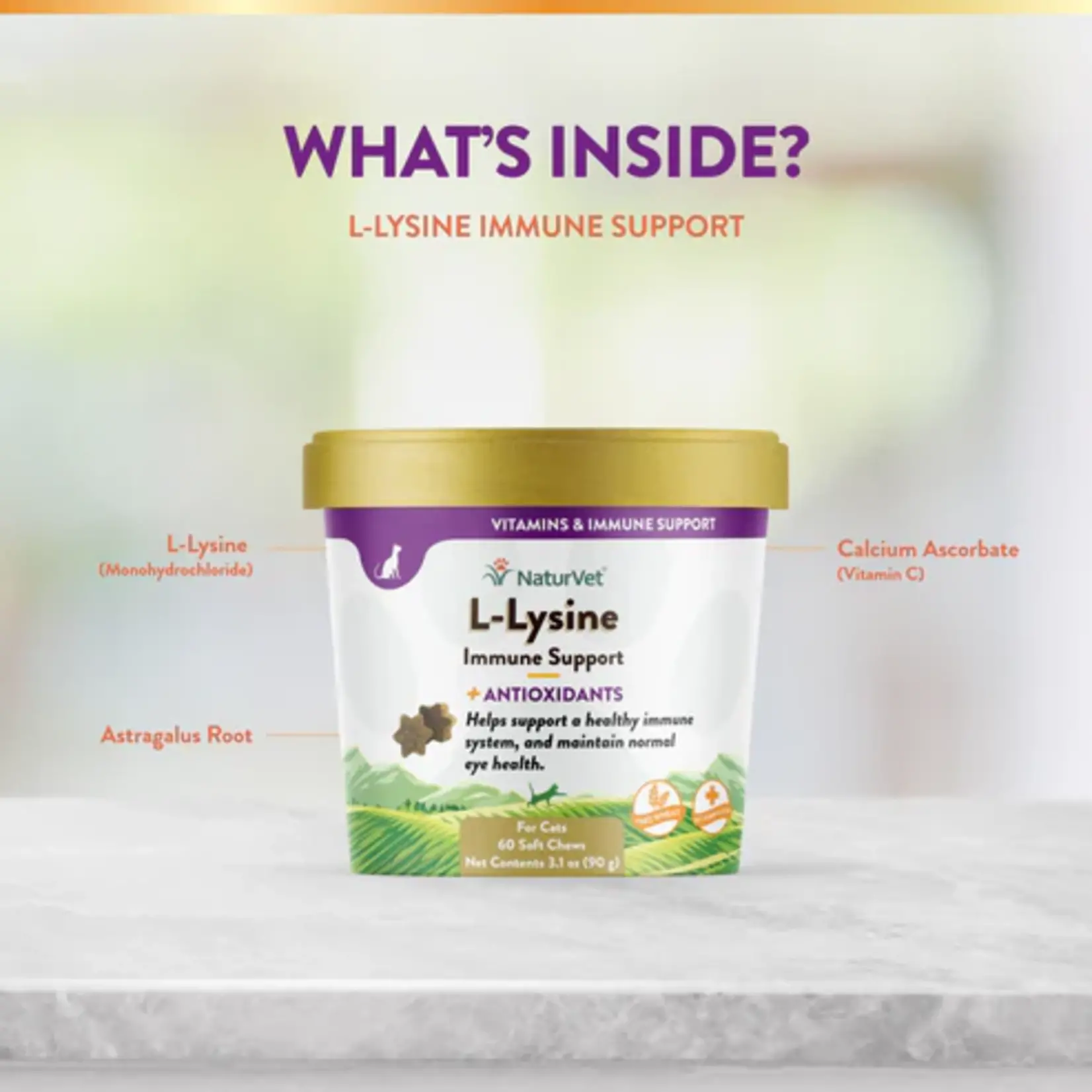 NaturVet NaturVet Soft Chews Cat L-Lysine Immune Support 60ct Plus Antioxidants