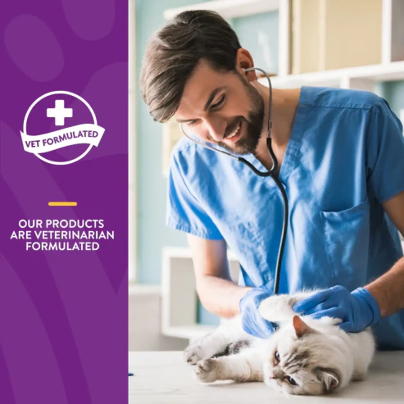 NaturVet NaturVet Soft Chews Cat L-Lysine Immune Support 60ct Plus Antioxidants