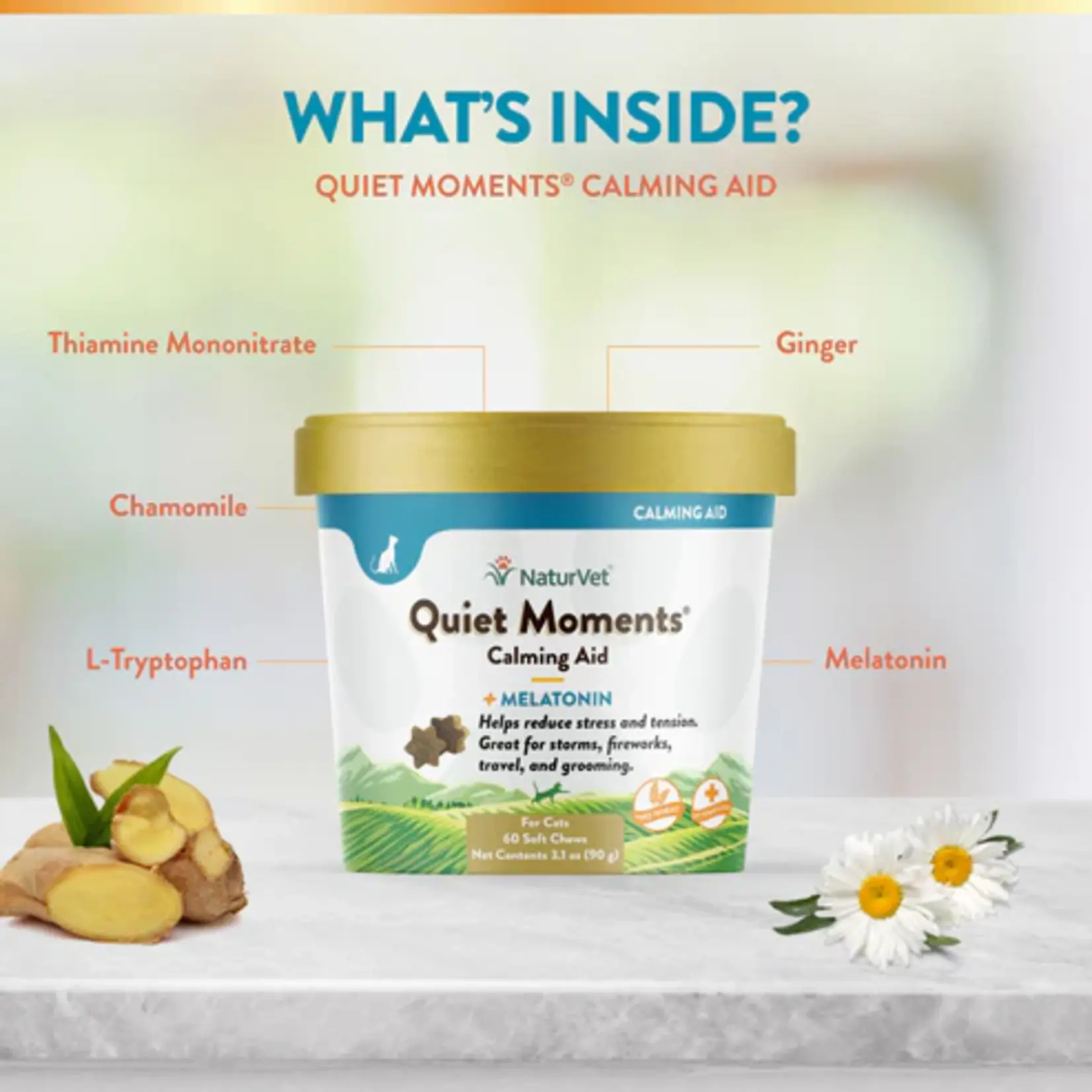 NaturVet NaturVet Quiet Moment Plus Melatonin Soft Chews 60ct