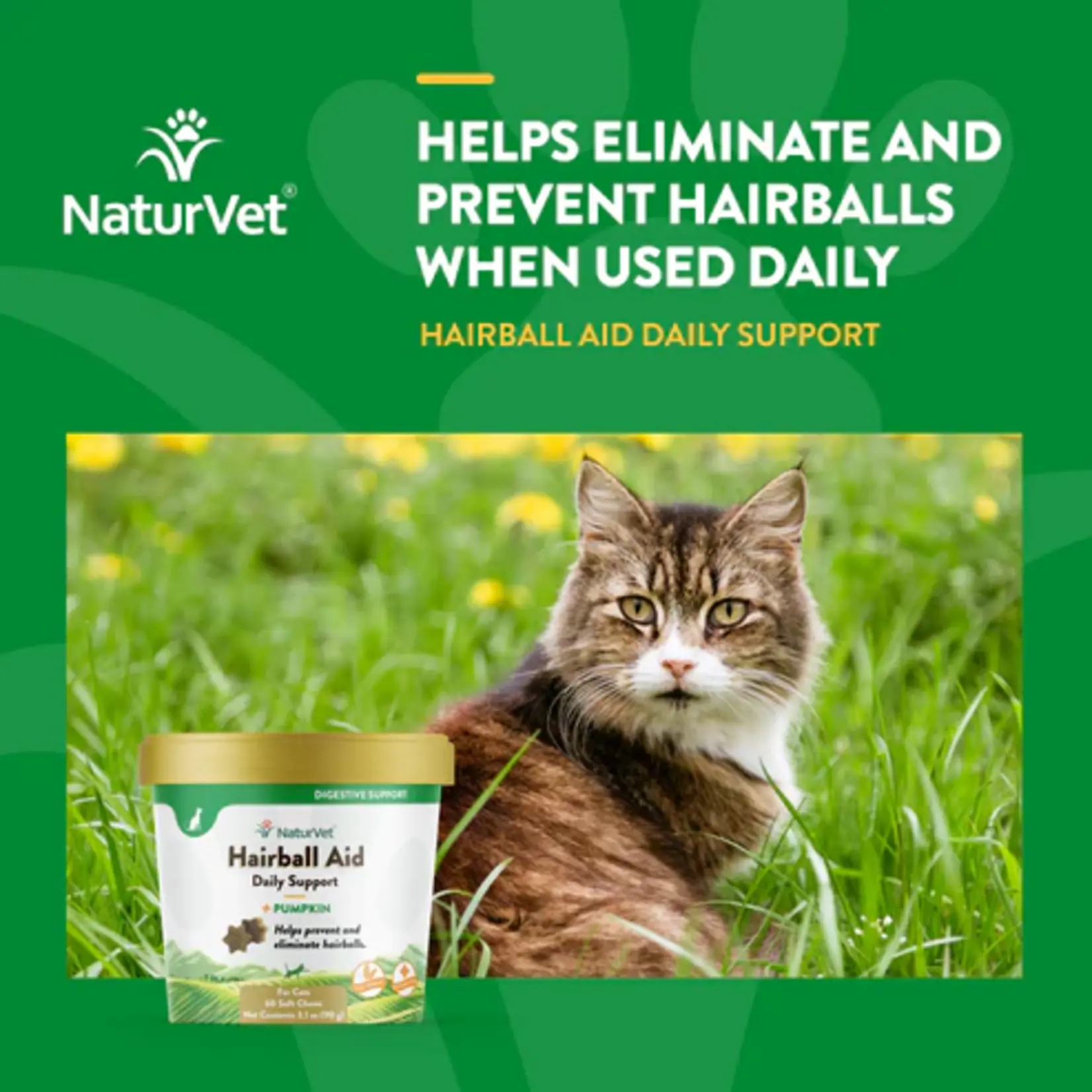 NaturVet NaturVet Cat Soft Chews Hairball + Pumpkin 60ct