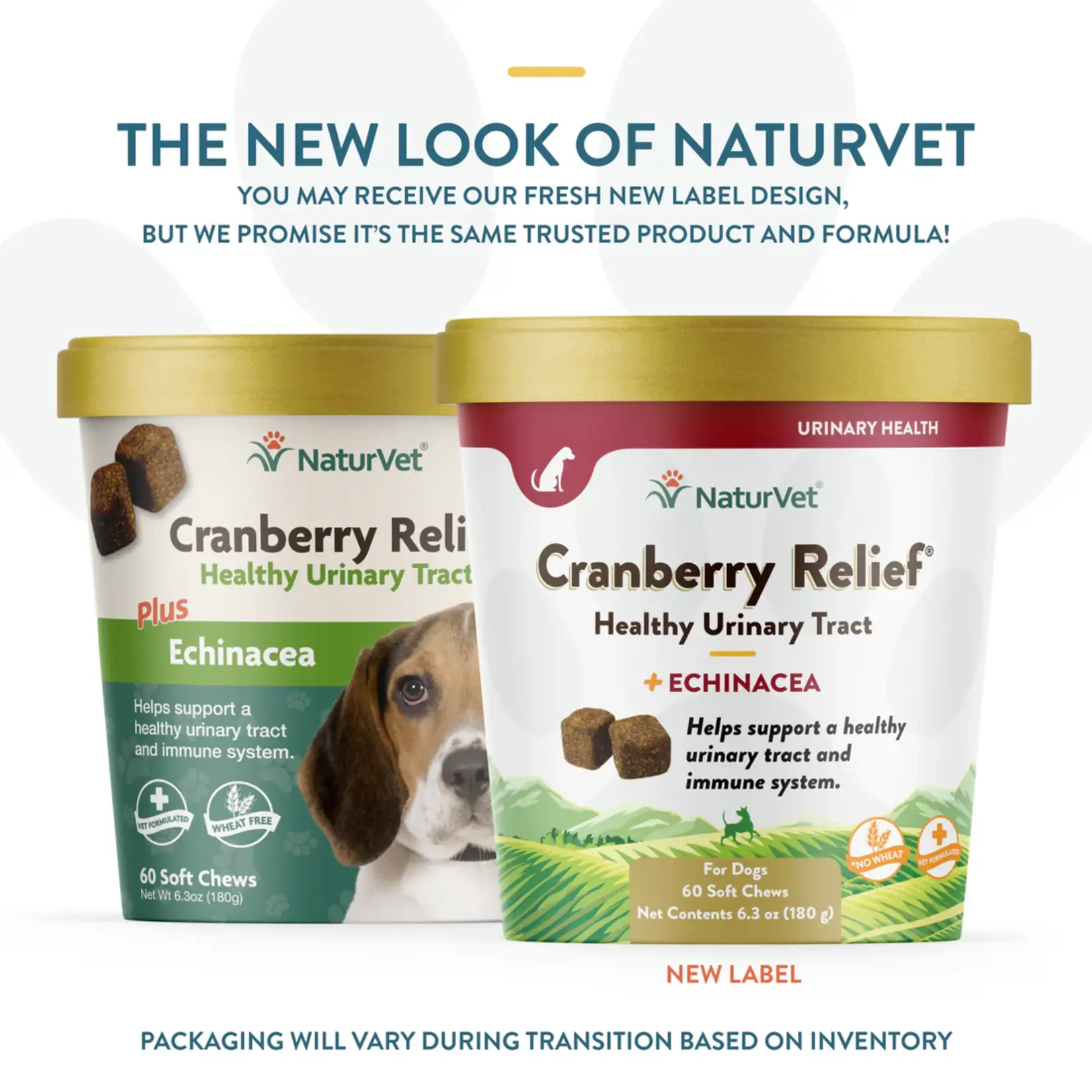 NaturVet NaturVet Cranberry Relief 60ct