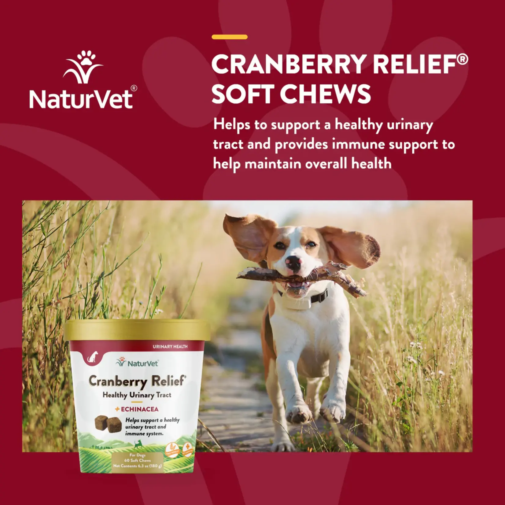 NaturVet NaturVet Cranberry Relief 60ct