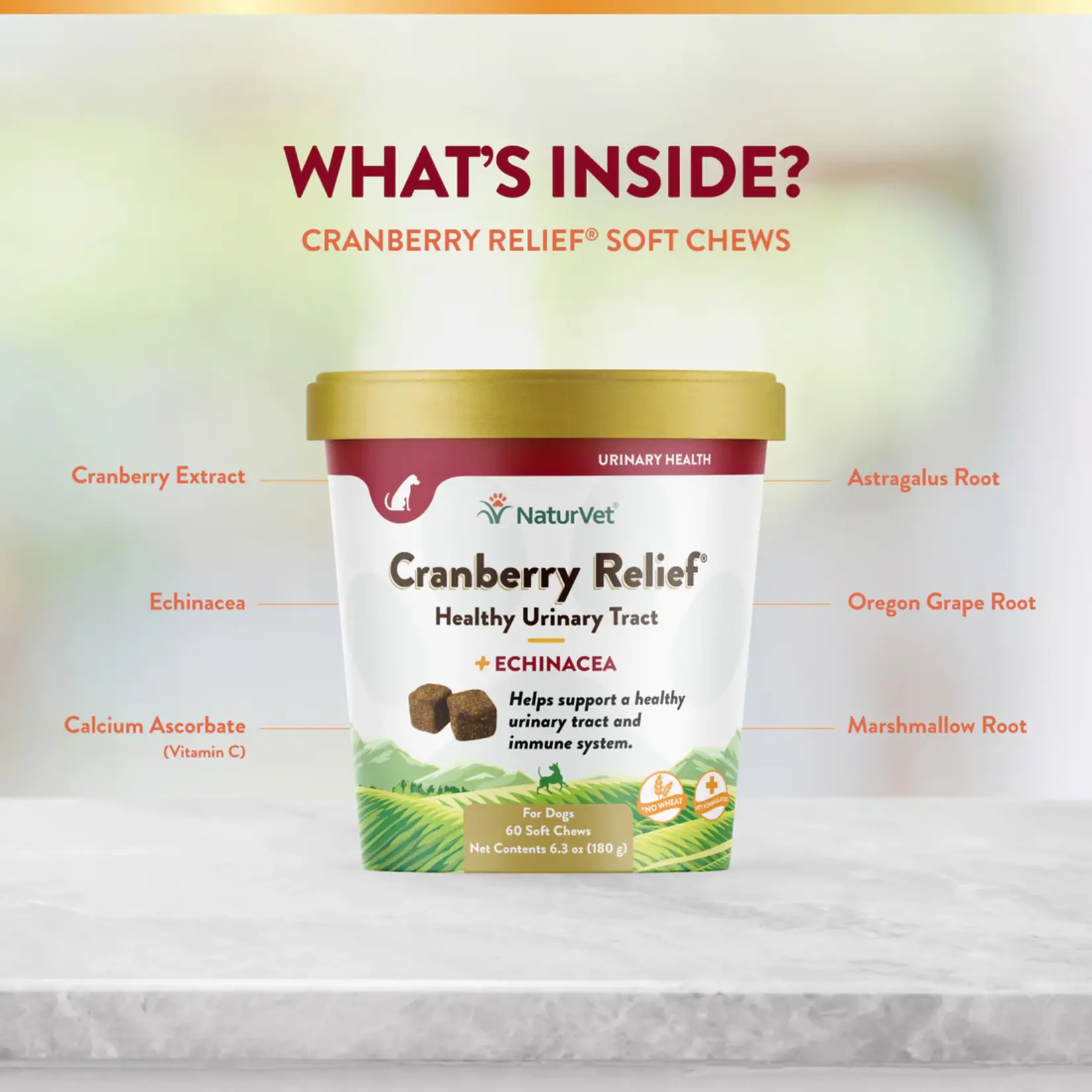 NaturVet NaturVet Cranberry Relief 60ct