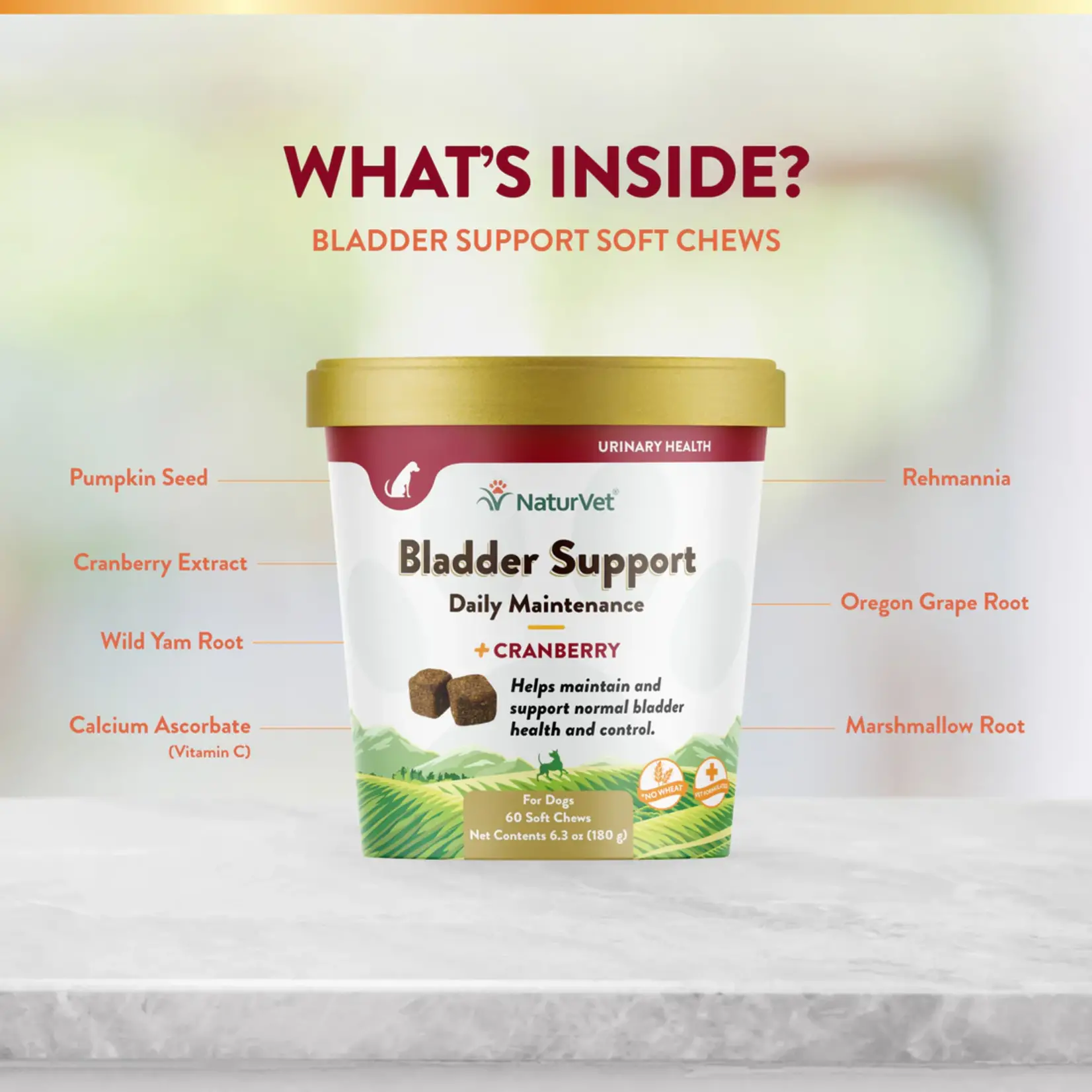 NaturVet NaturVet Bladder Support 60ct