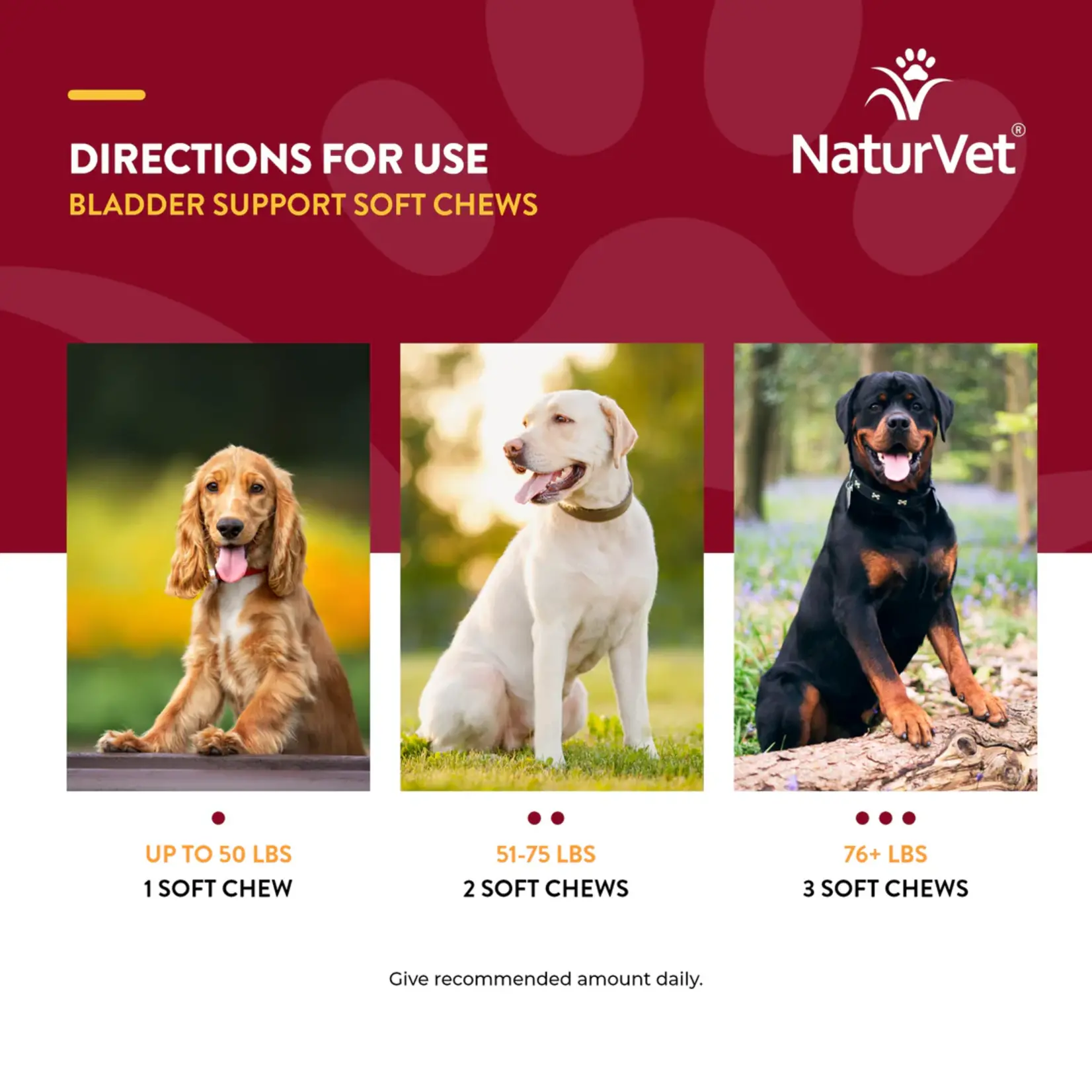 NaturVet NaturVet Bladder Support 60ct
