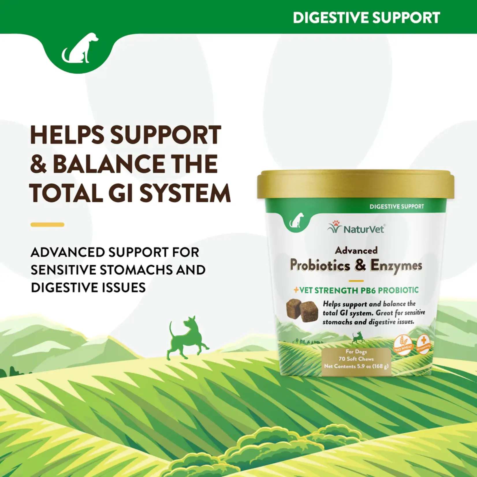 NaturVet NaturVet Advanced Probiotic & Enzymes Soft Chews 70ct