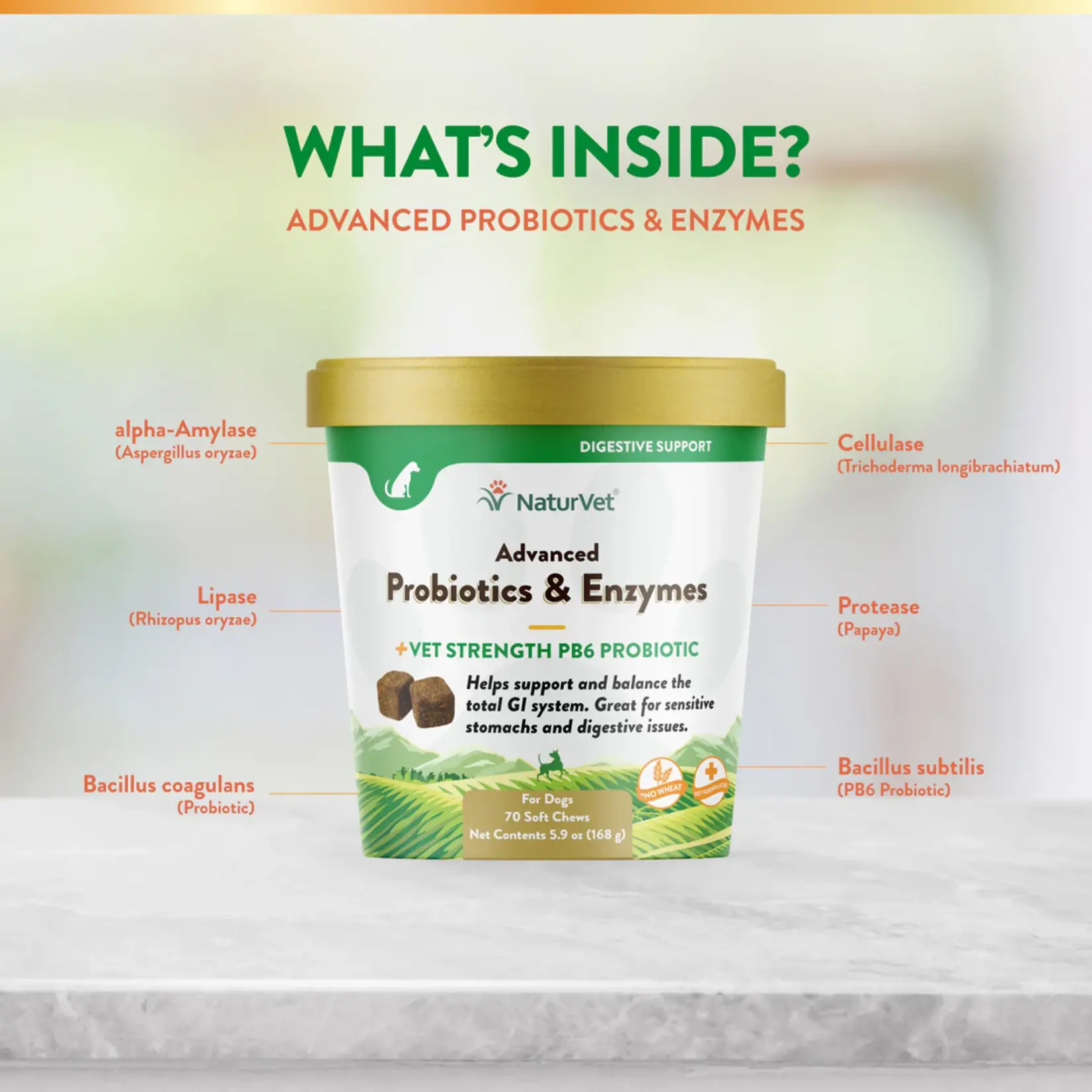 NaturVet NaturVet Advanced Probiotic & Enzymes Soft Chews 70ct