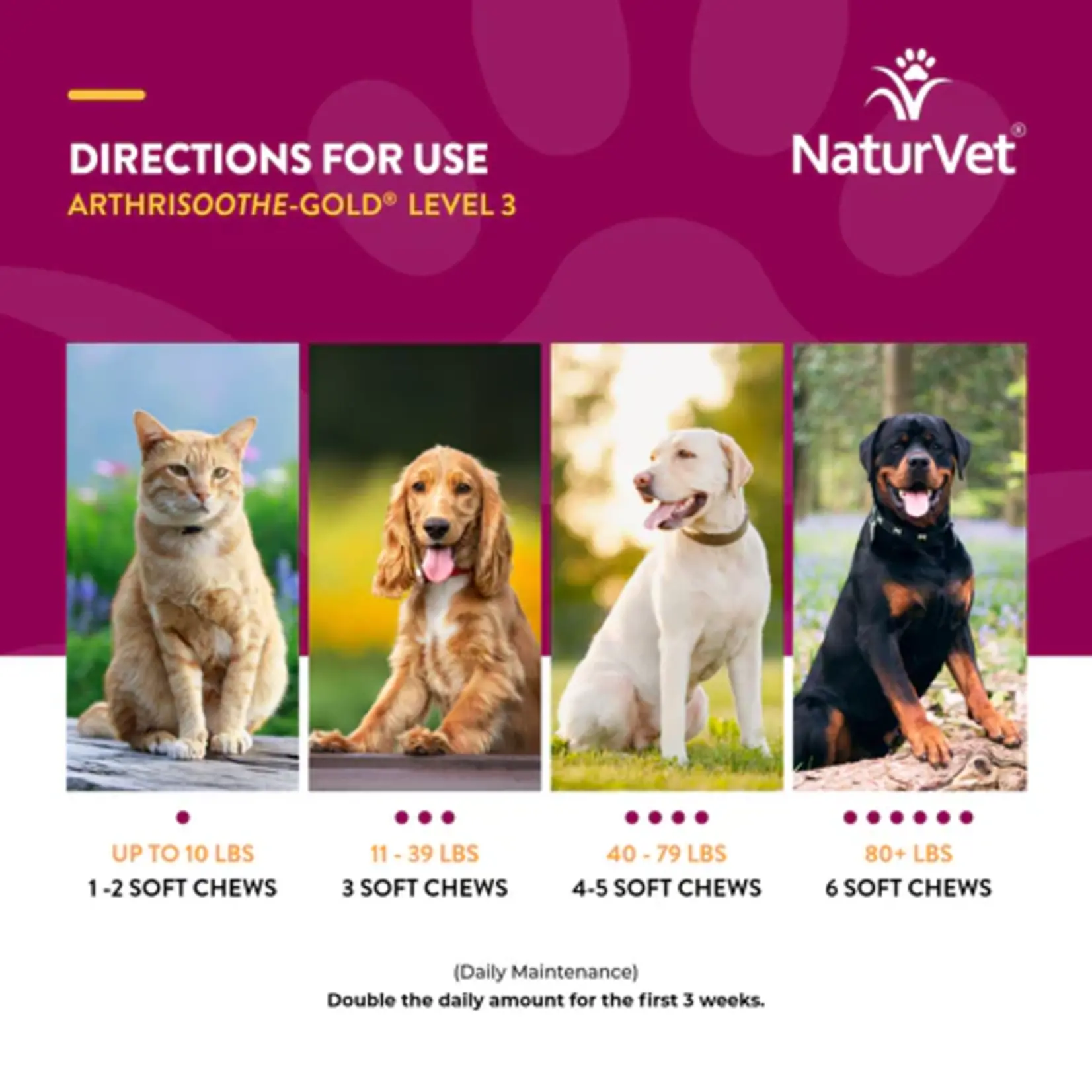 NaturVet NaturVet ArthriSoothe-Gold Advanced Care Soft Chews 180ct