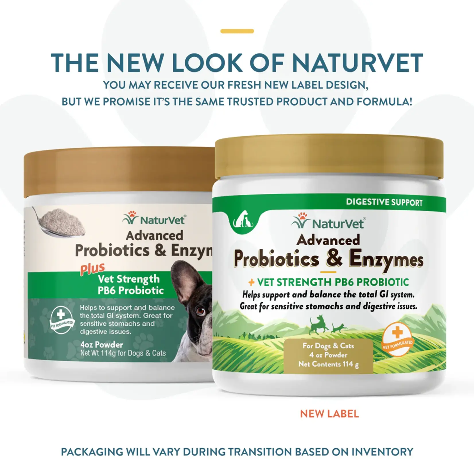 NaturVet NaturVet Advanced Probiotics & Enzymes Plus Vet Strength PB6 Probiotic Powder Digestive Supplement for Cats & Dogs 8oz