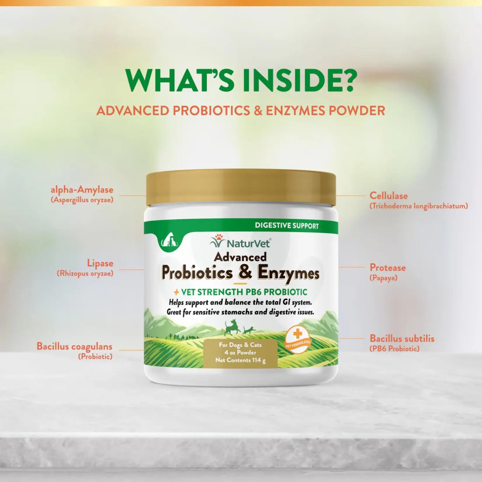 NaturVet NaturVet Advanced Probiotics & Enzymes Plus Vet Strength PB6 Probiotic Powder Digestive Supplement for Cats & Dogs 8oz