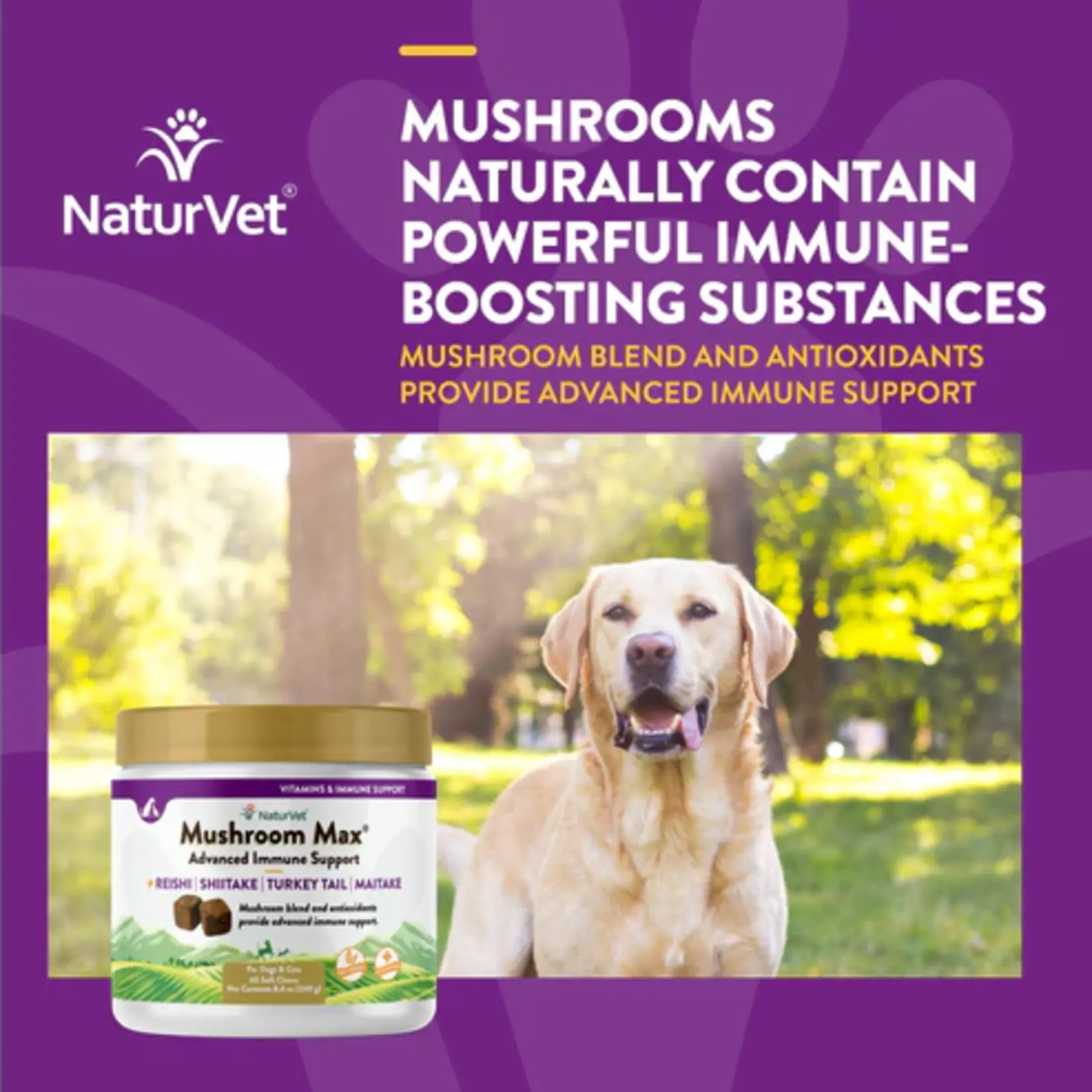 NaturVet NaturVet Mushroom Max Advanced Immune Support with Turkey Tail 60 chews