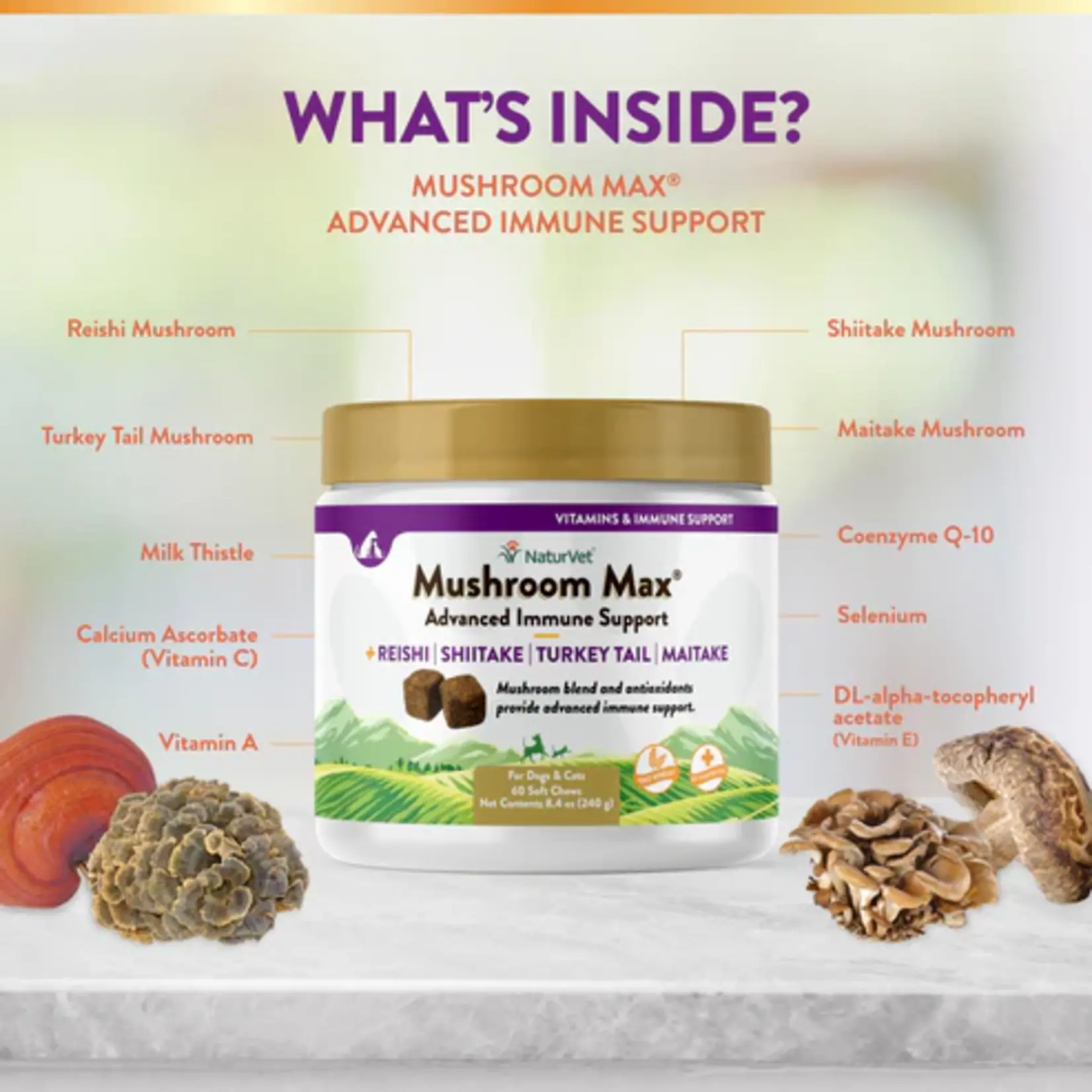 NaturVet NaturVet Mushroom Max Advanced Immune Support with Turkey Tail 60 chews