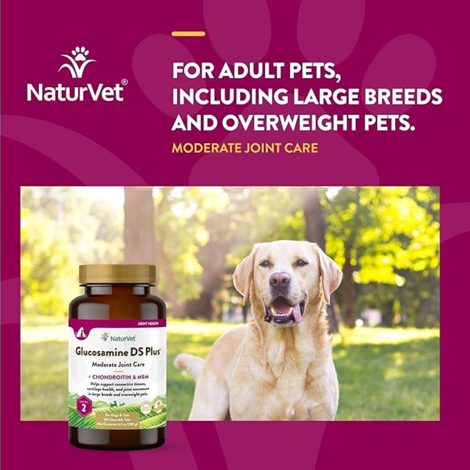NaturVet NaturVet Glucosamine DS+ Level 2 Tablets 60ct