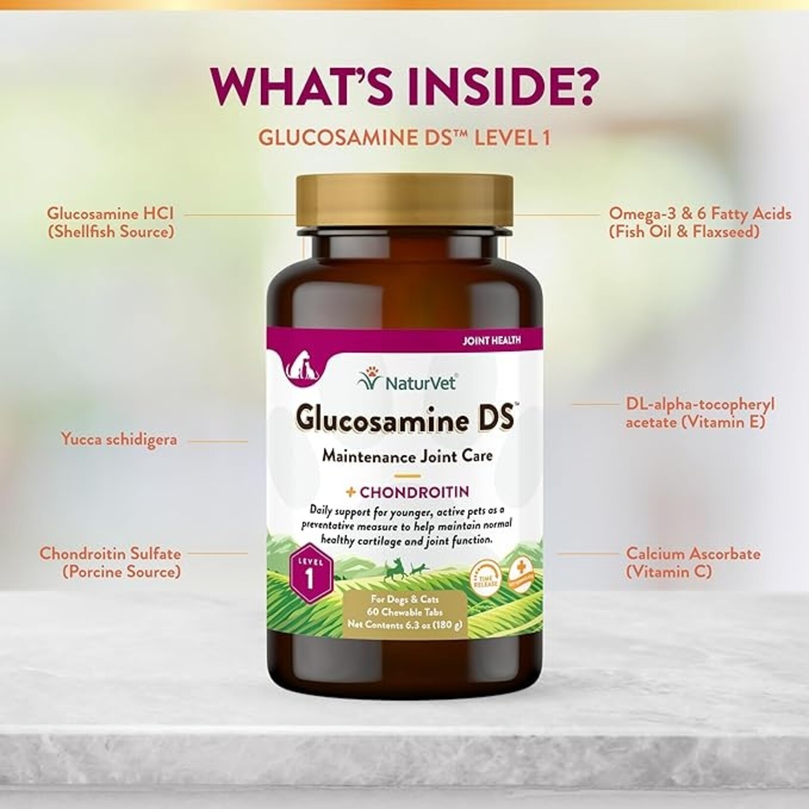 NaturVet NaturVet Glucosamine DS Chewable Tablets 60ct